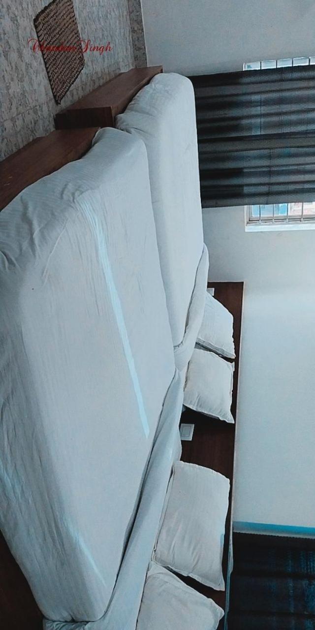 经济双人间