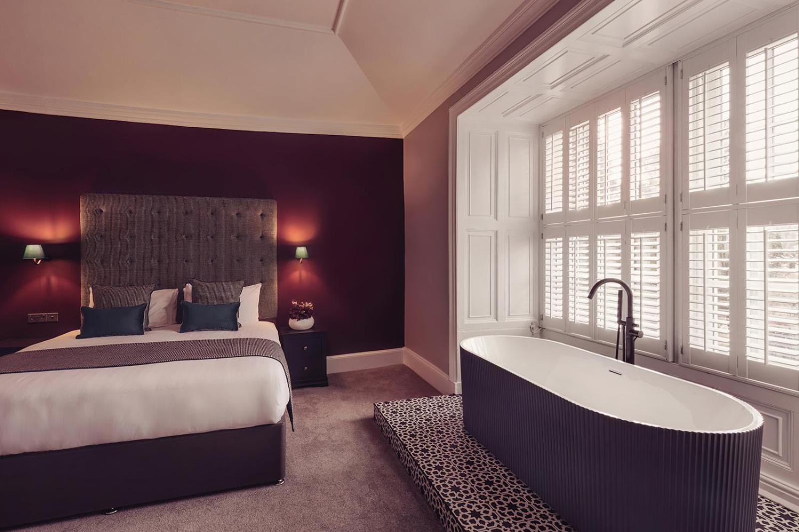 Deluxe King Suite - Photo 1