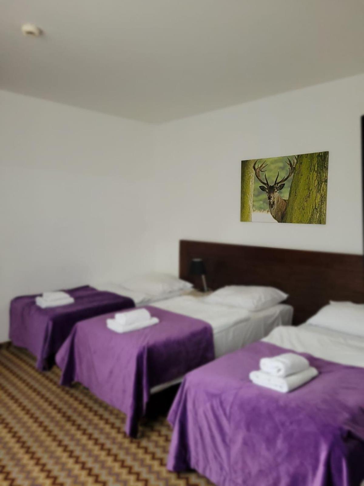 Triple Room - Photo 1