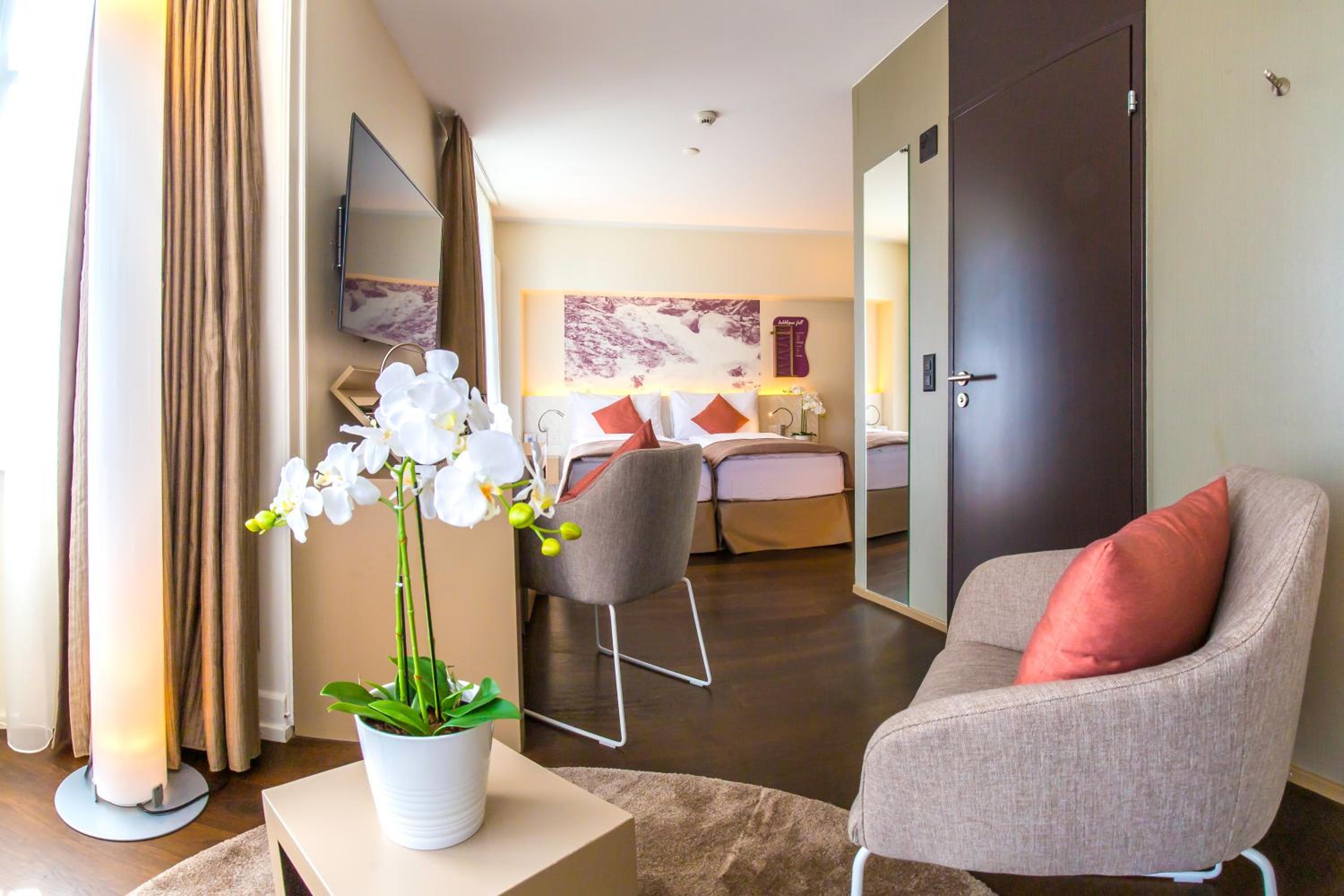 Double Room -  Large