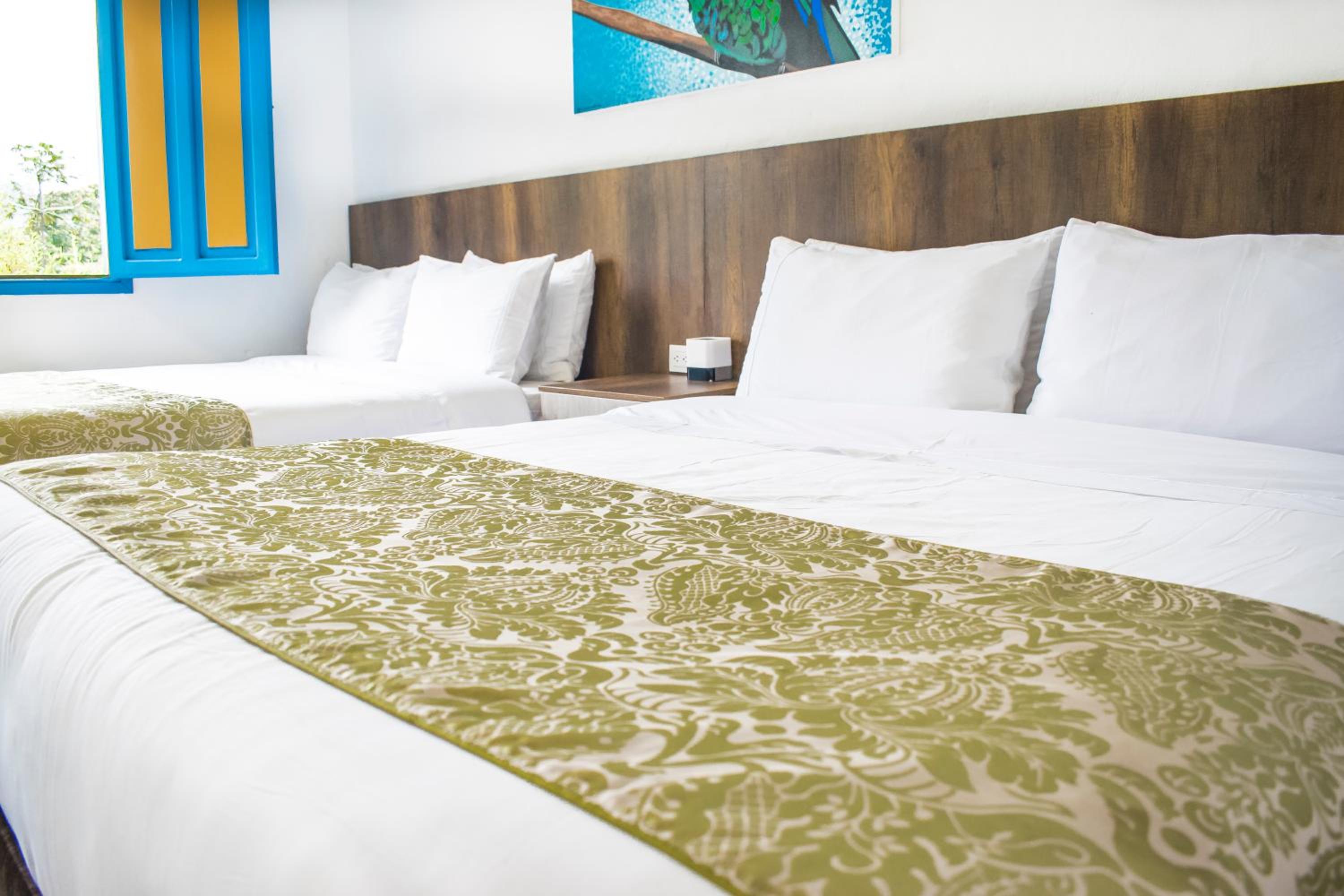 Superior Twin Room photo 1