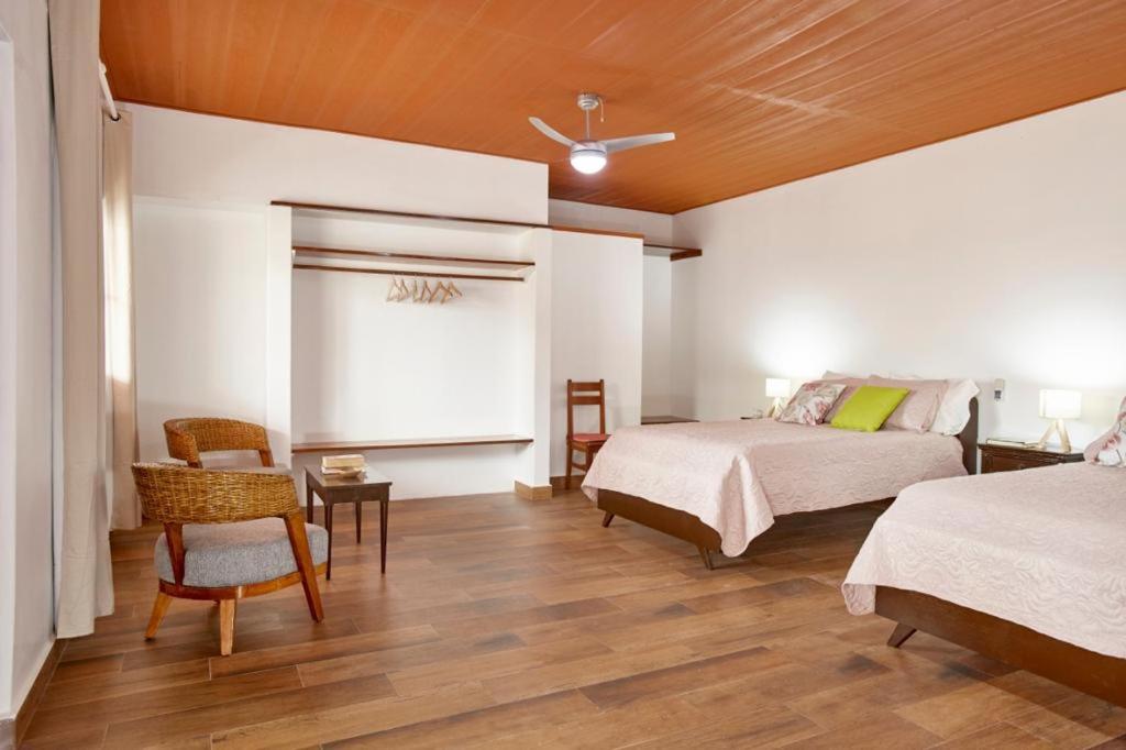 Deluxe Double Room photo 1