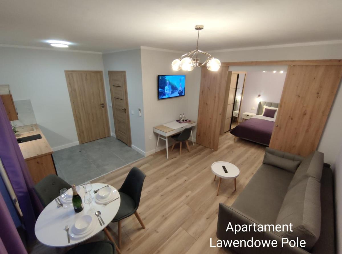 One-Bedroom Suite photo 3