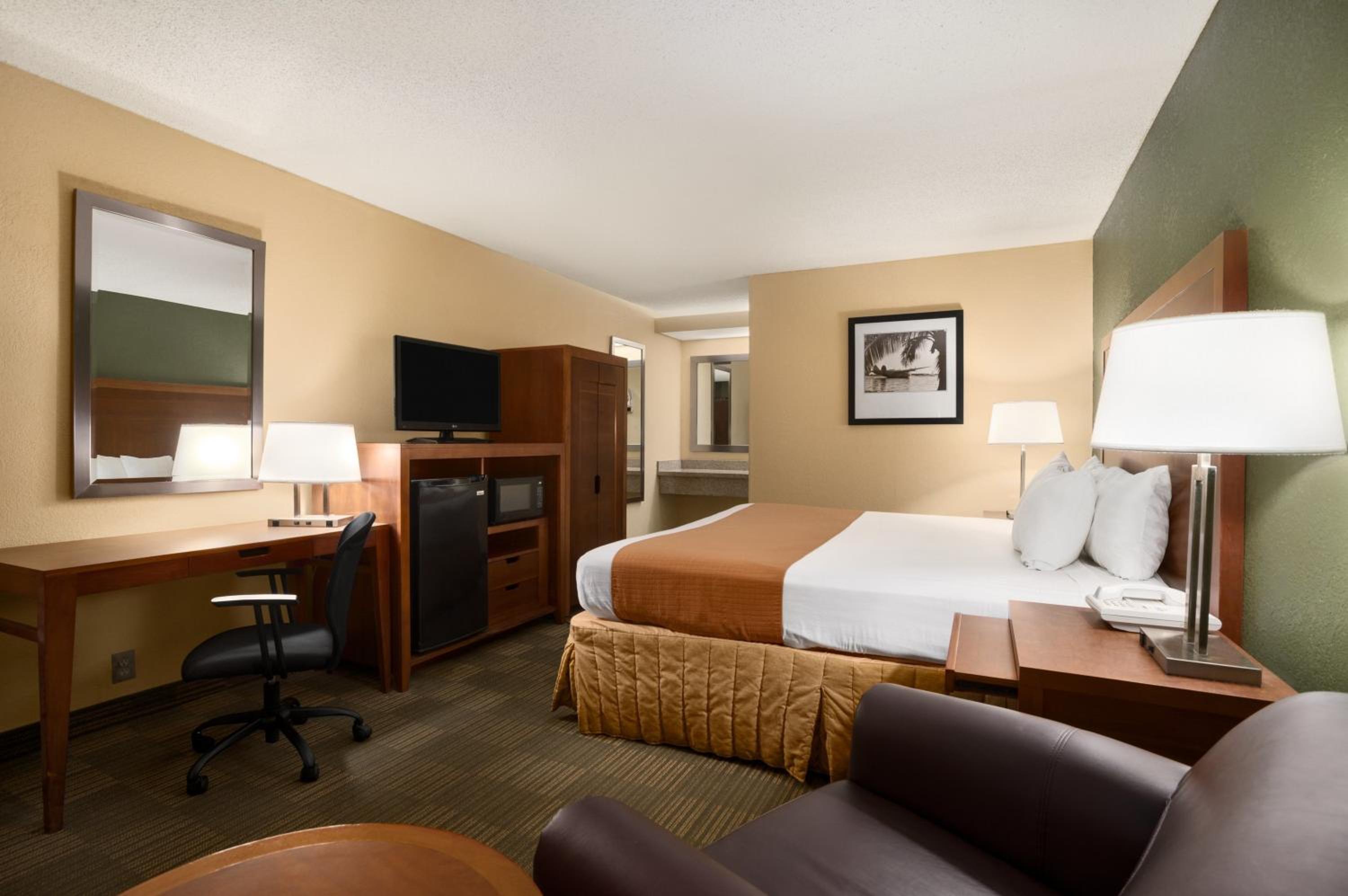 King Room with Roll-In Shower - Mobility Access/Non-Smoking - Photo 2