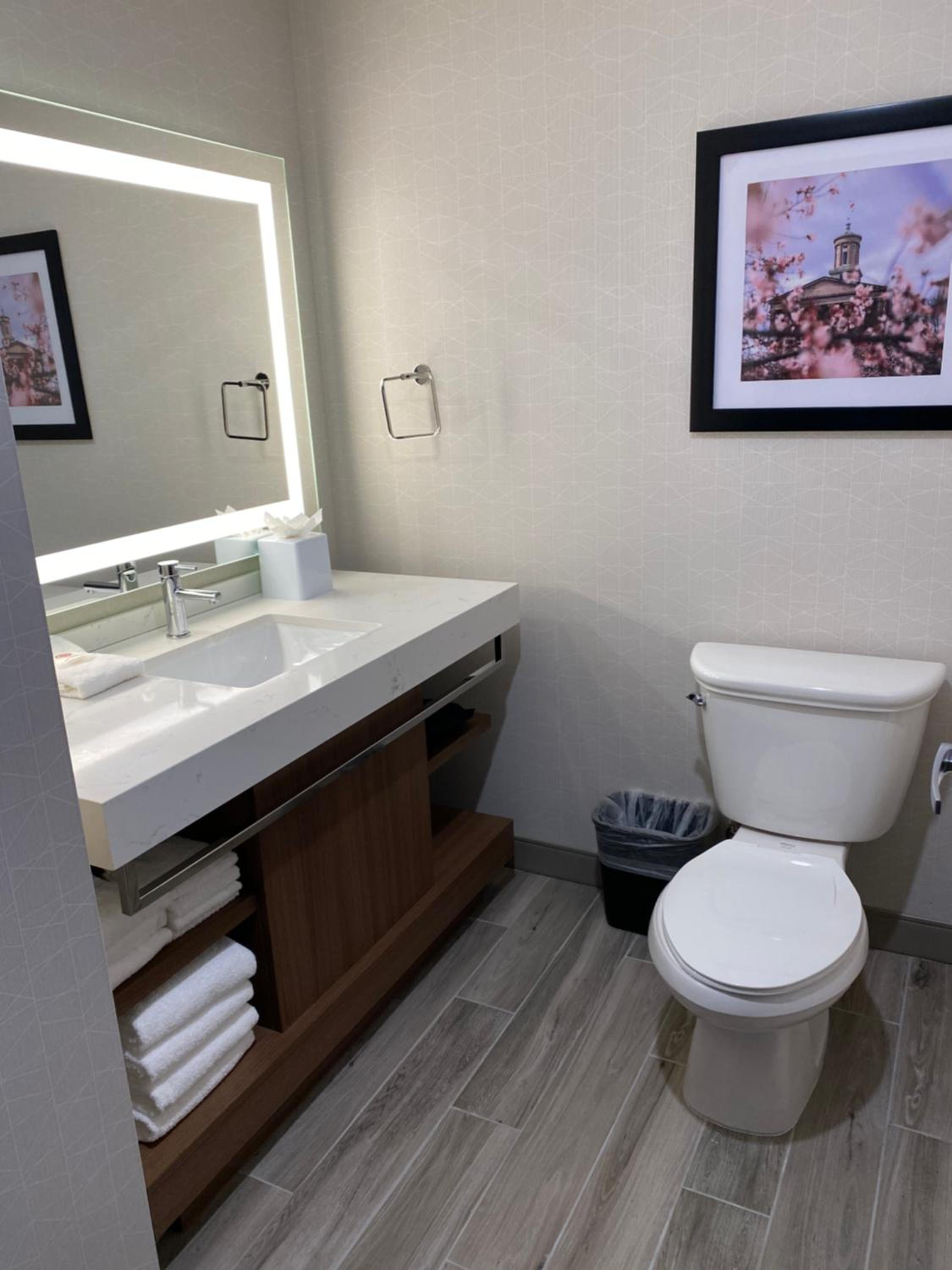 King Suite with Sofa - Non Smoking/Pet Friendly - Photo 2