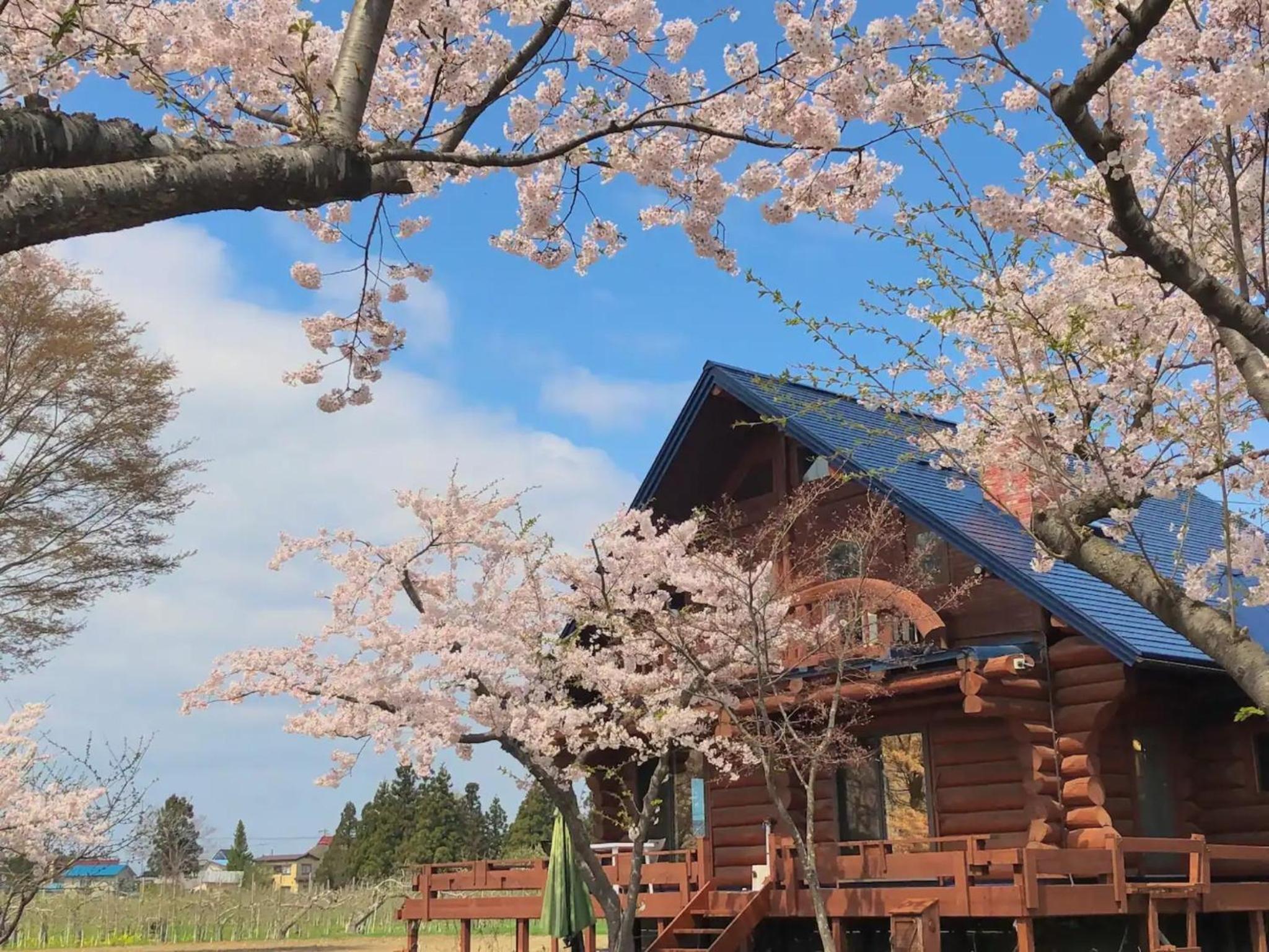 Vacation Home photo 2