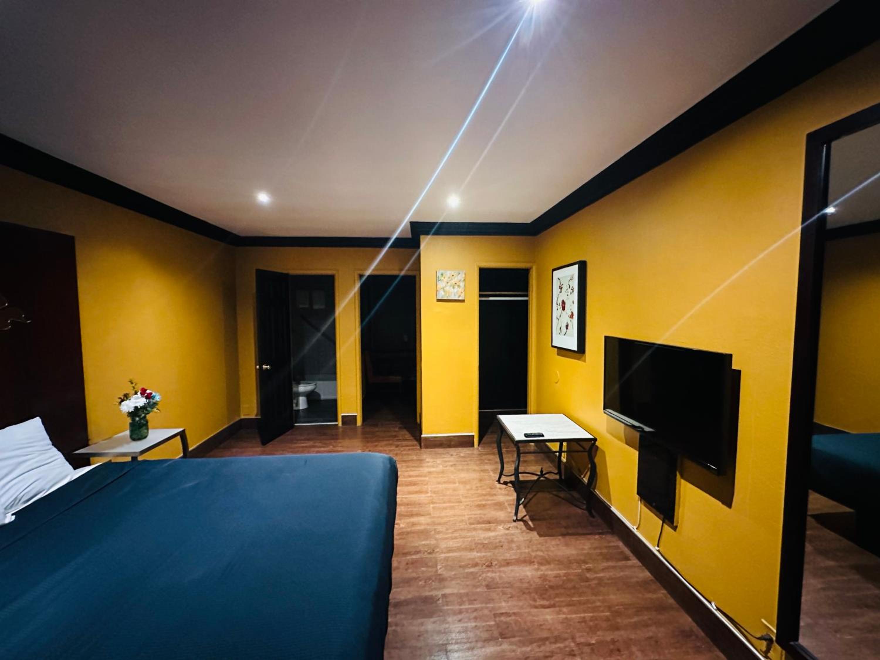 King Studio - Photo 5