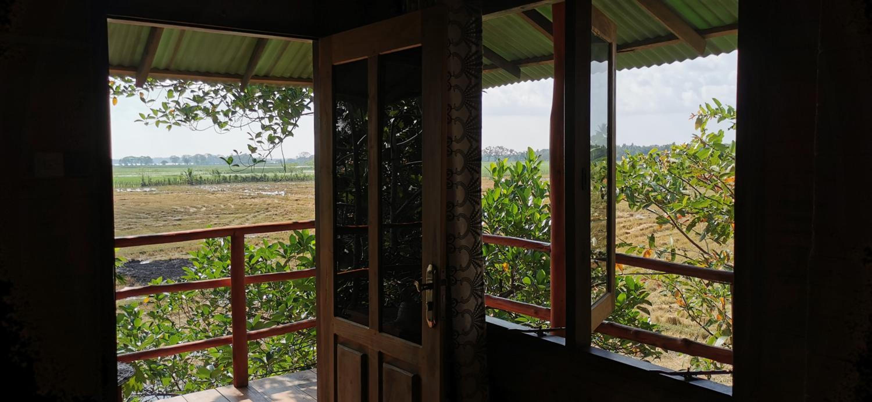 Double Room with Terrace photo 1