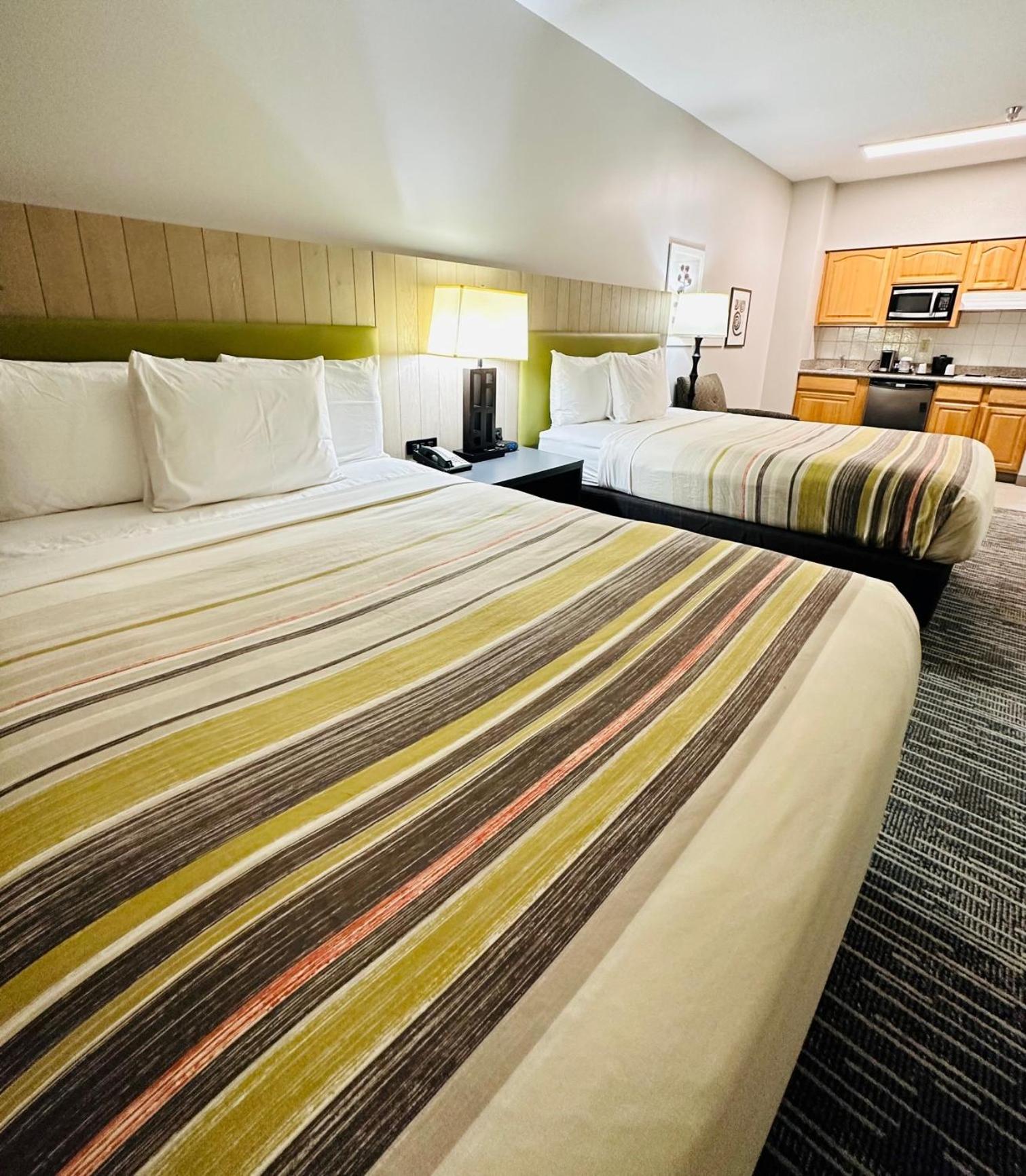 Studio Suite 2 Queen beds - Photo 8