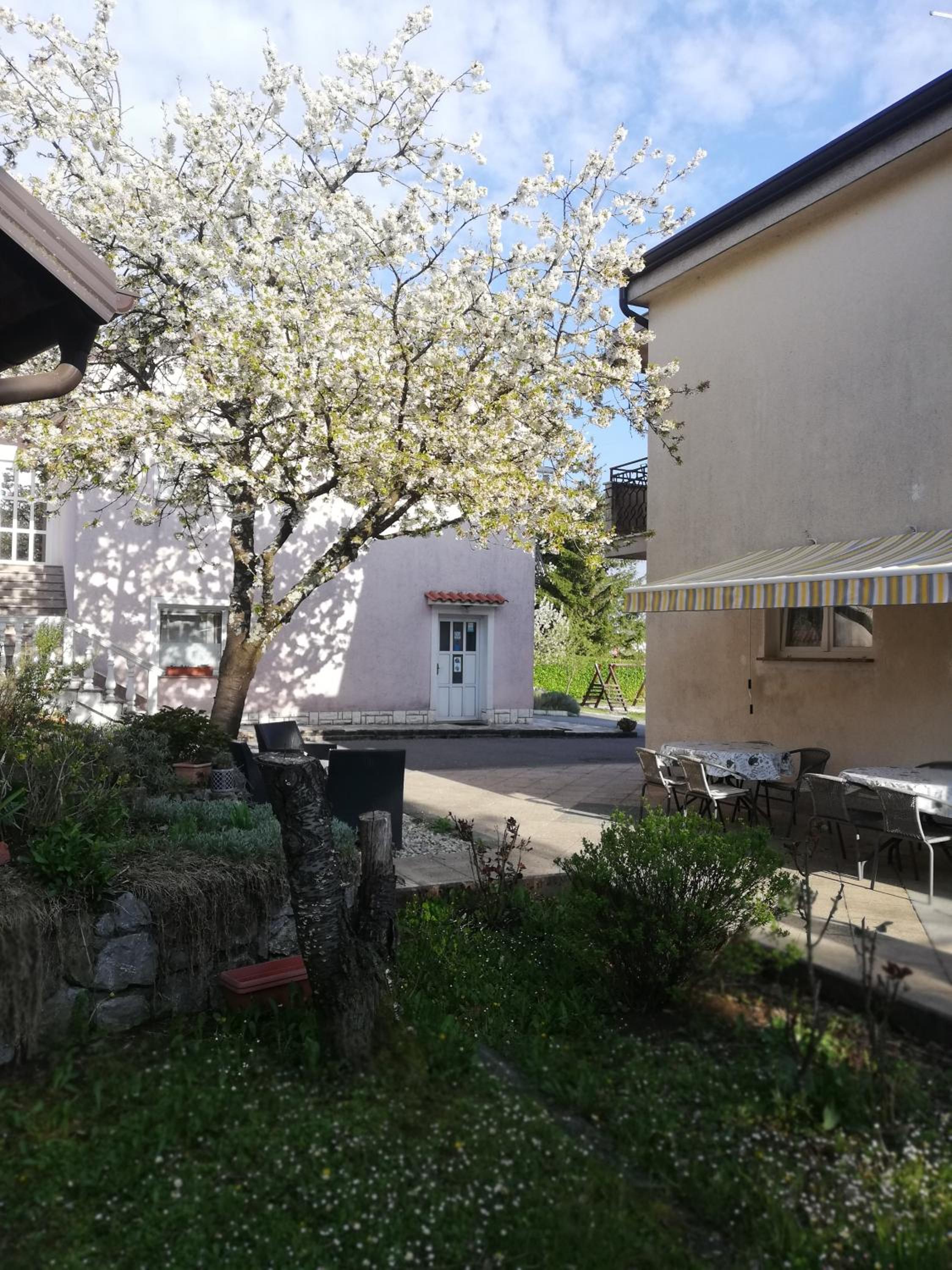 Two-Bedroom Apartment with Terrace - Photo 12
