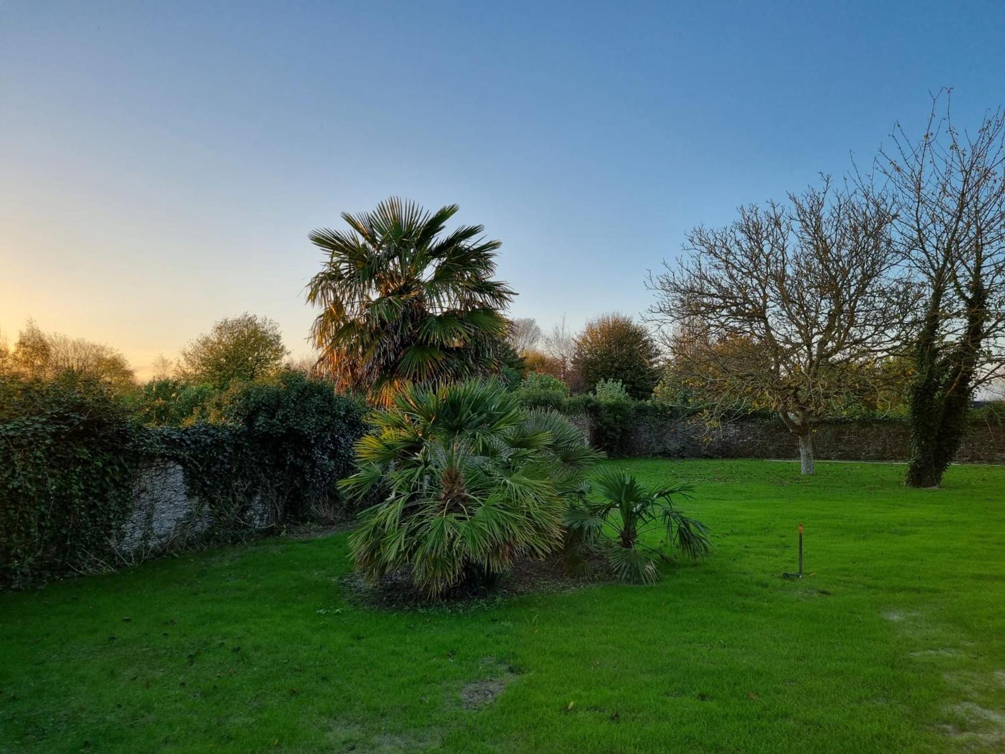 King Room with Garden View - Photo 1