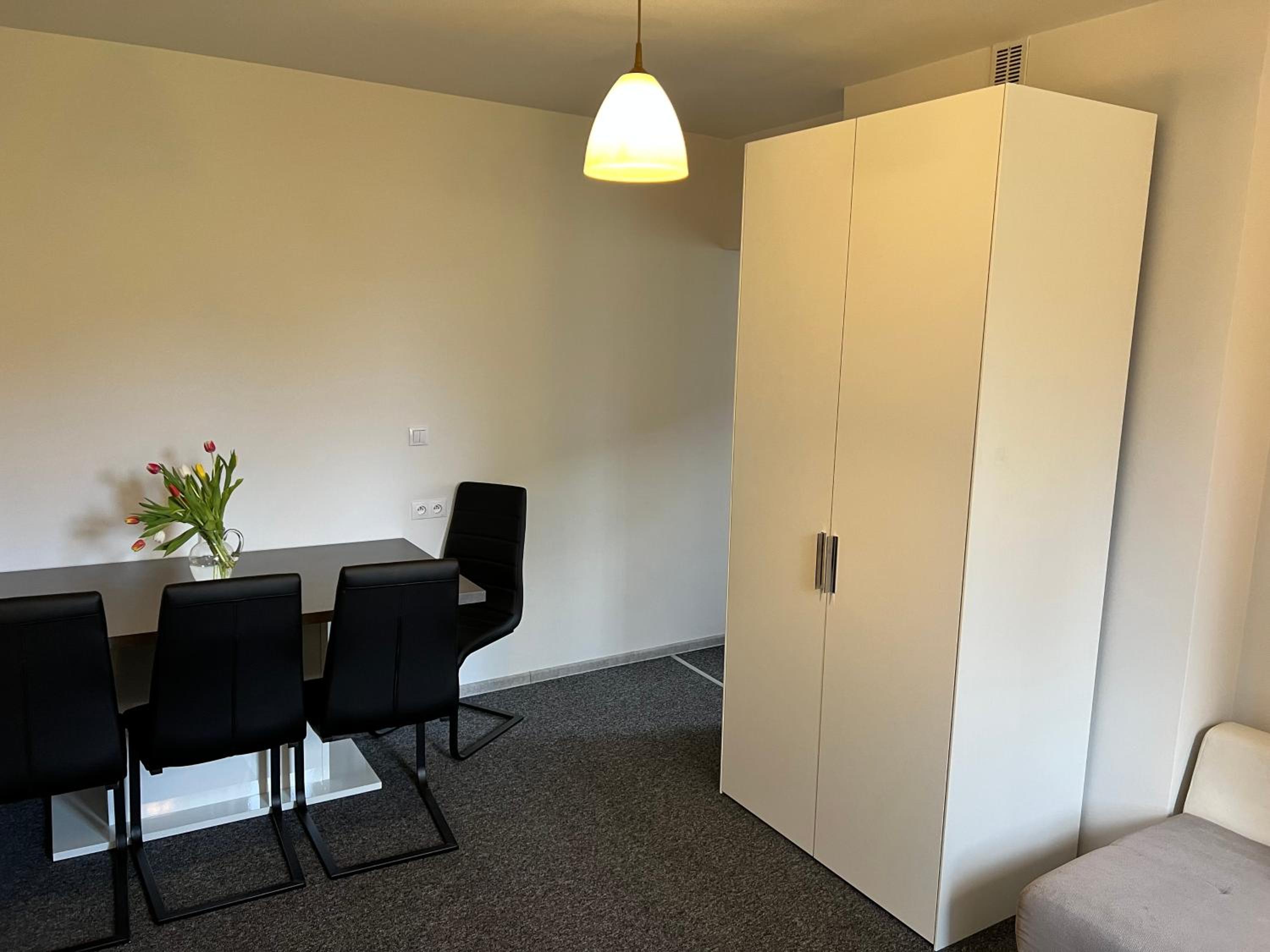 Standard Apartment photo 3