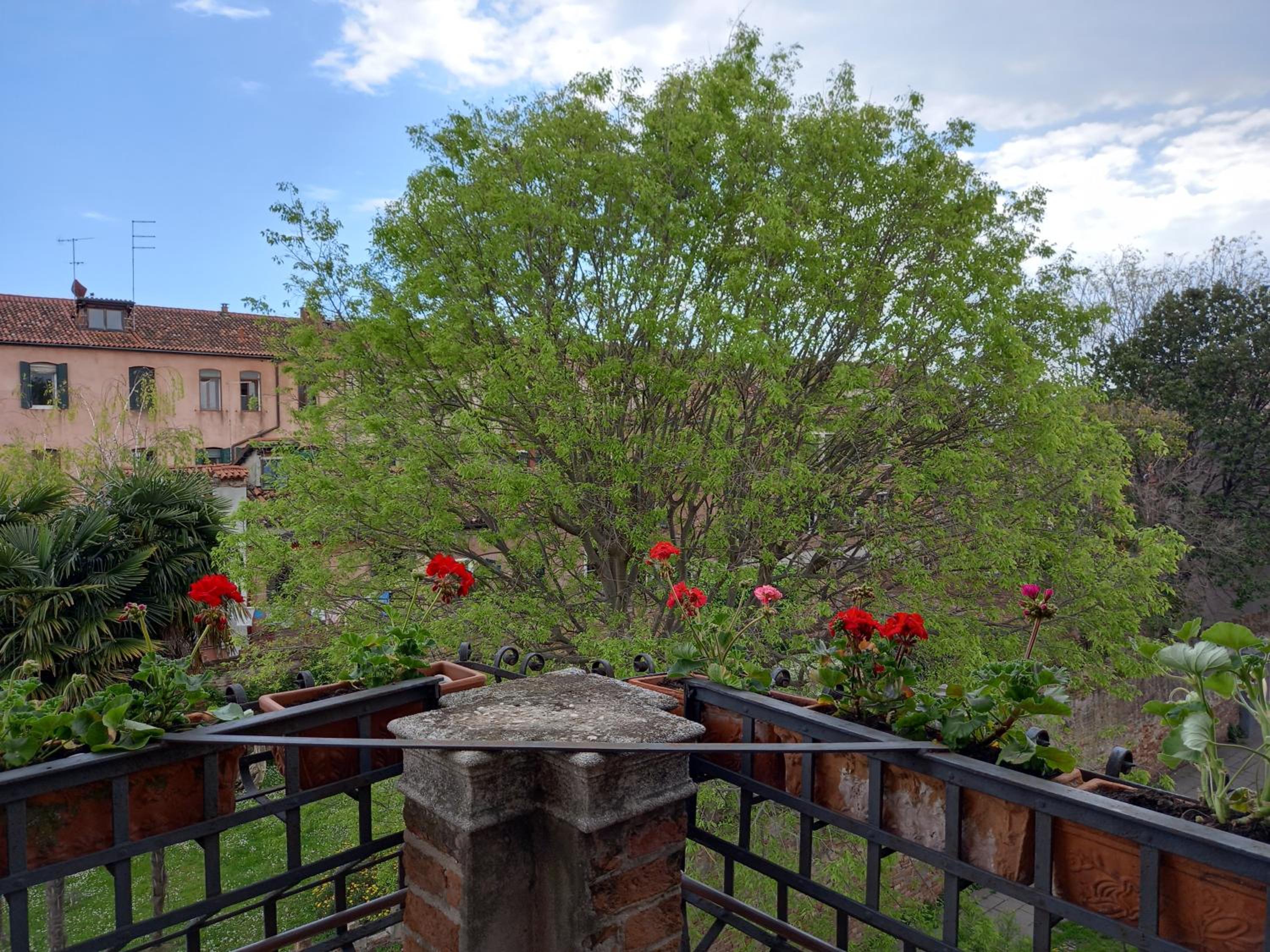 Apartment with Terrace photo 3