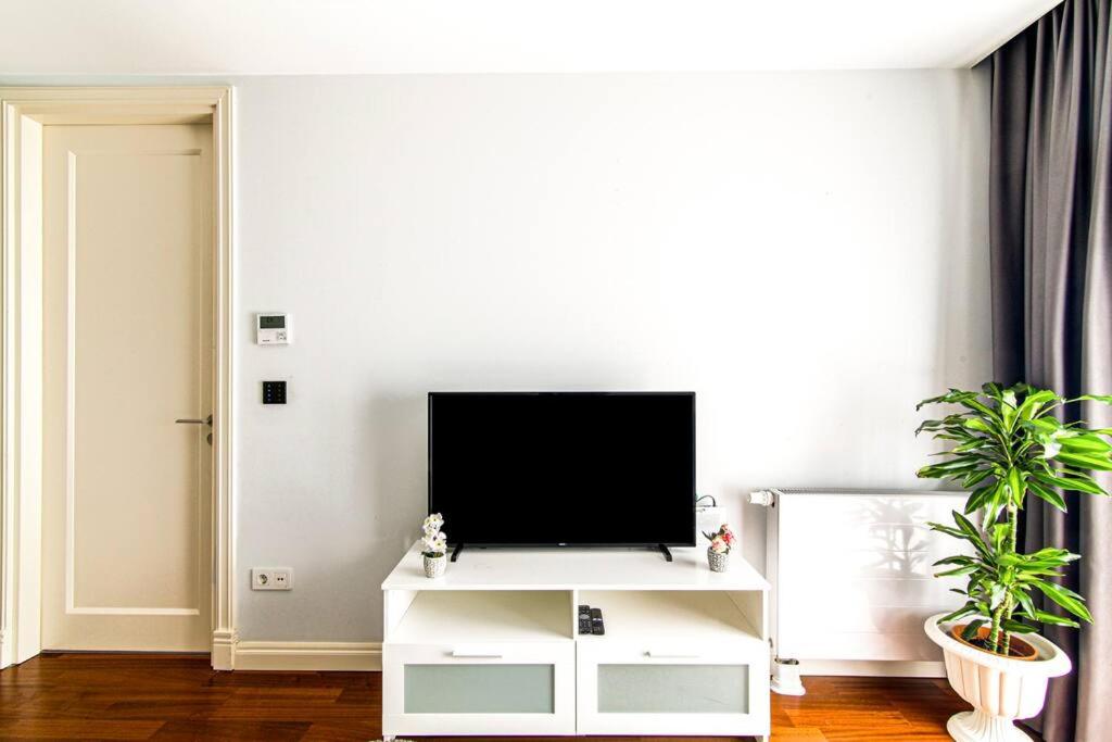 Studio Apartment photo 2