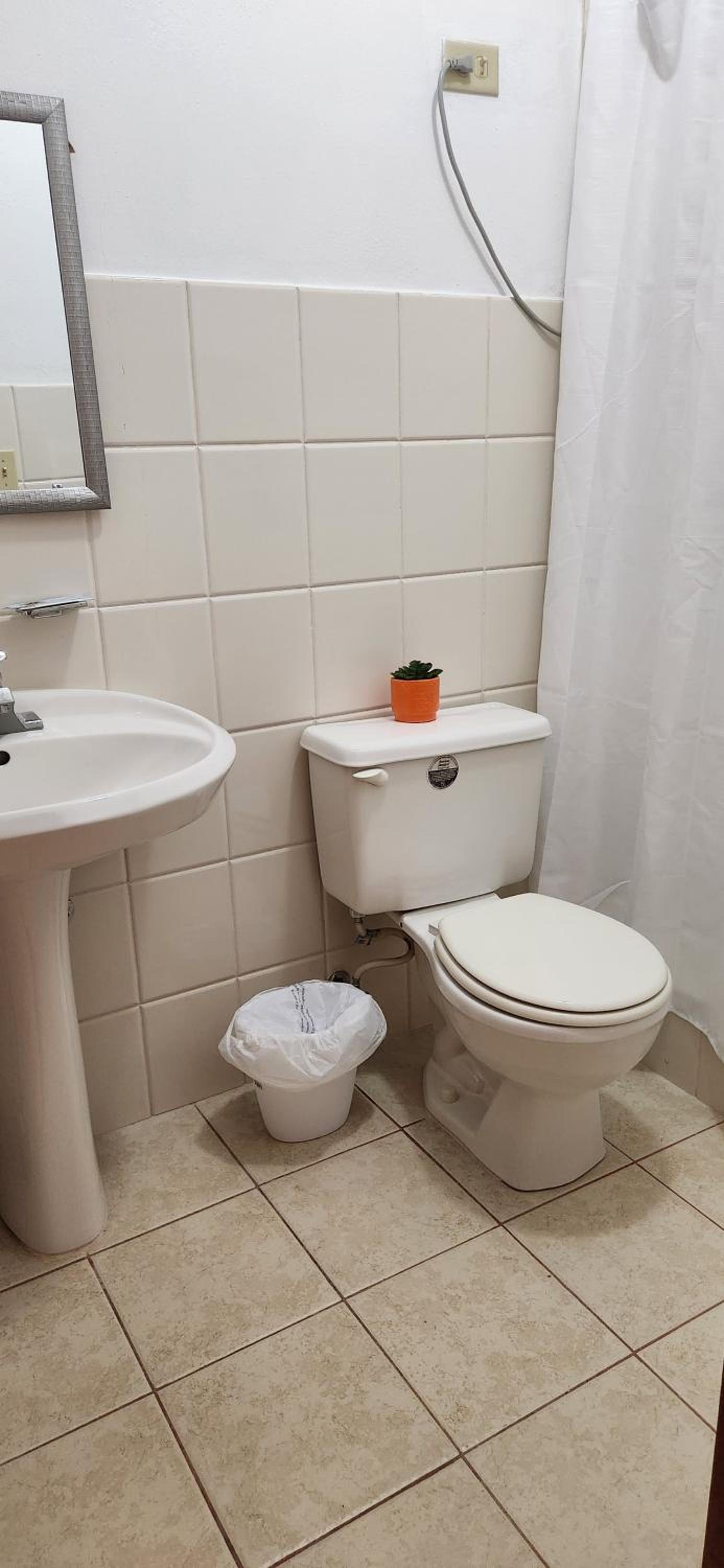 Standard Apartment photo 3