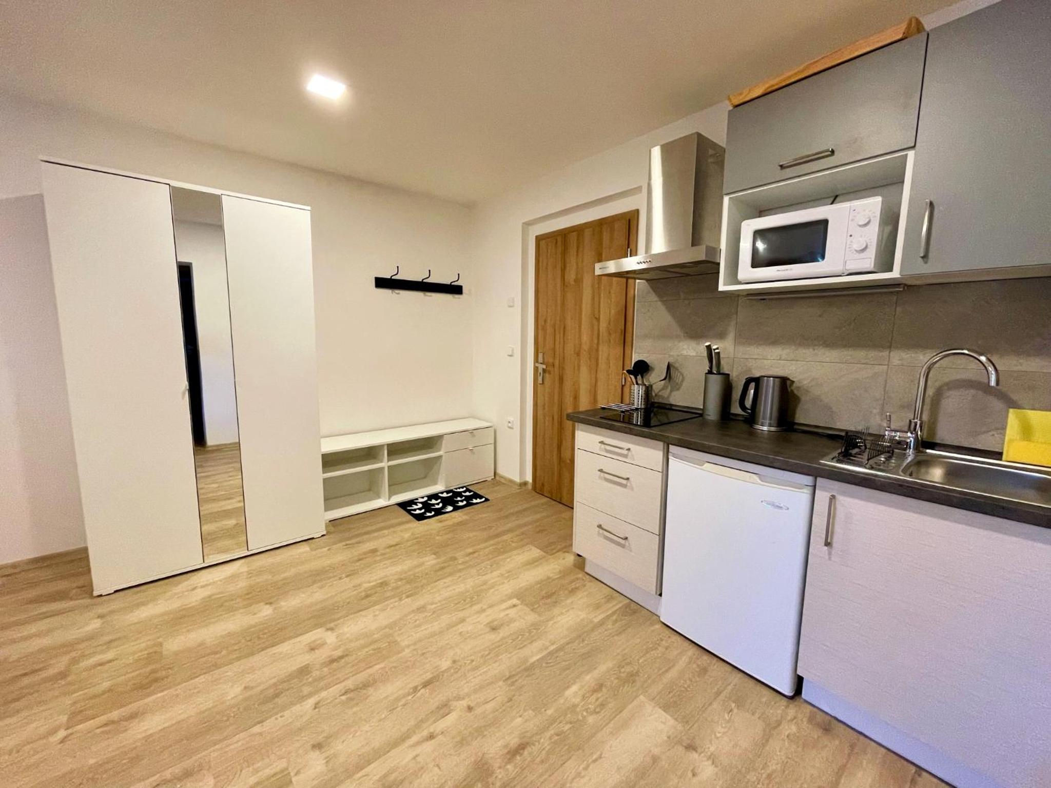 One-Bedroom Apartment photo 2