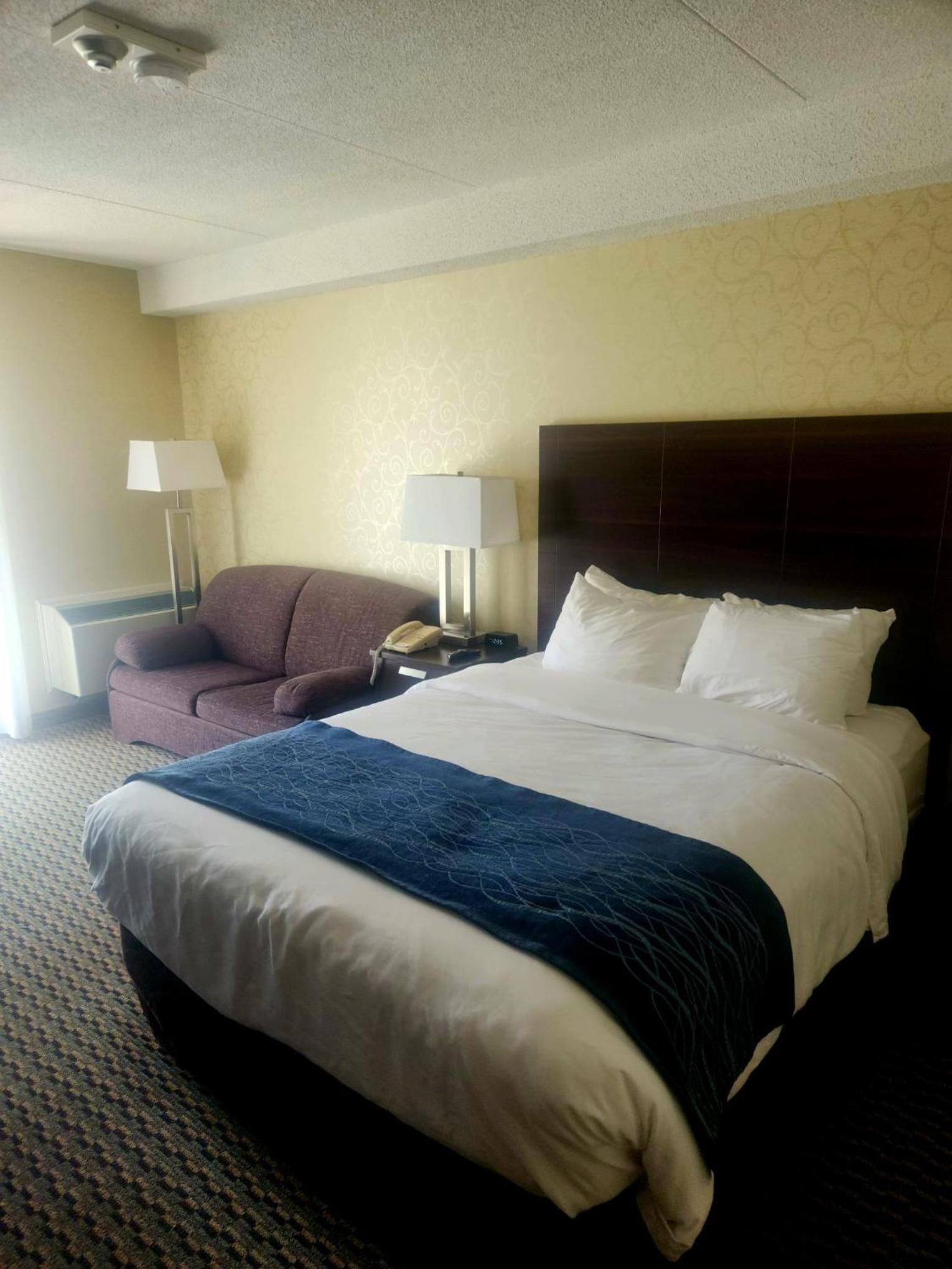 Queen Room with Sofa Bed photo 1