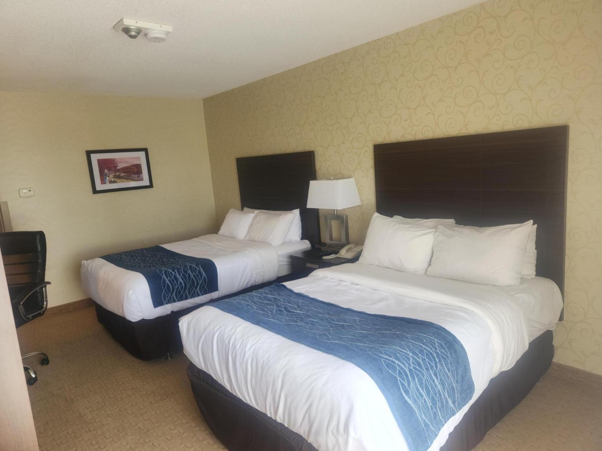 Quadruple Room -Â Upper Floor photo 2