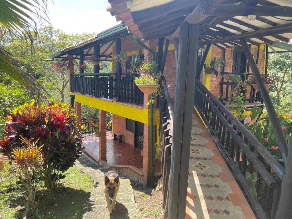 Vacation Home photo 3