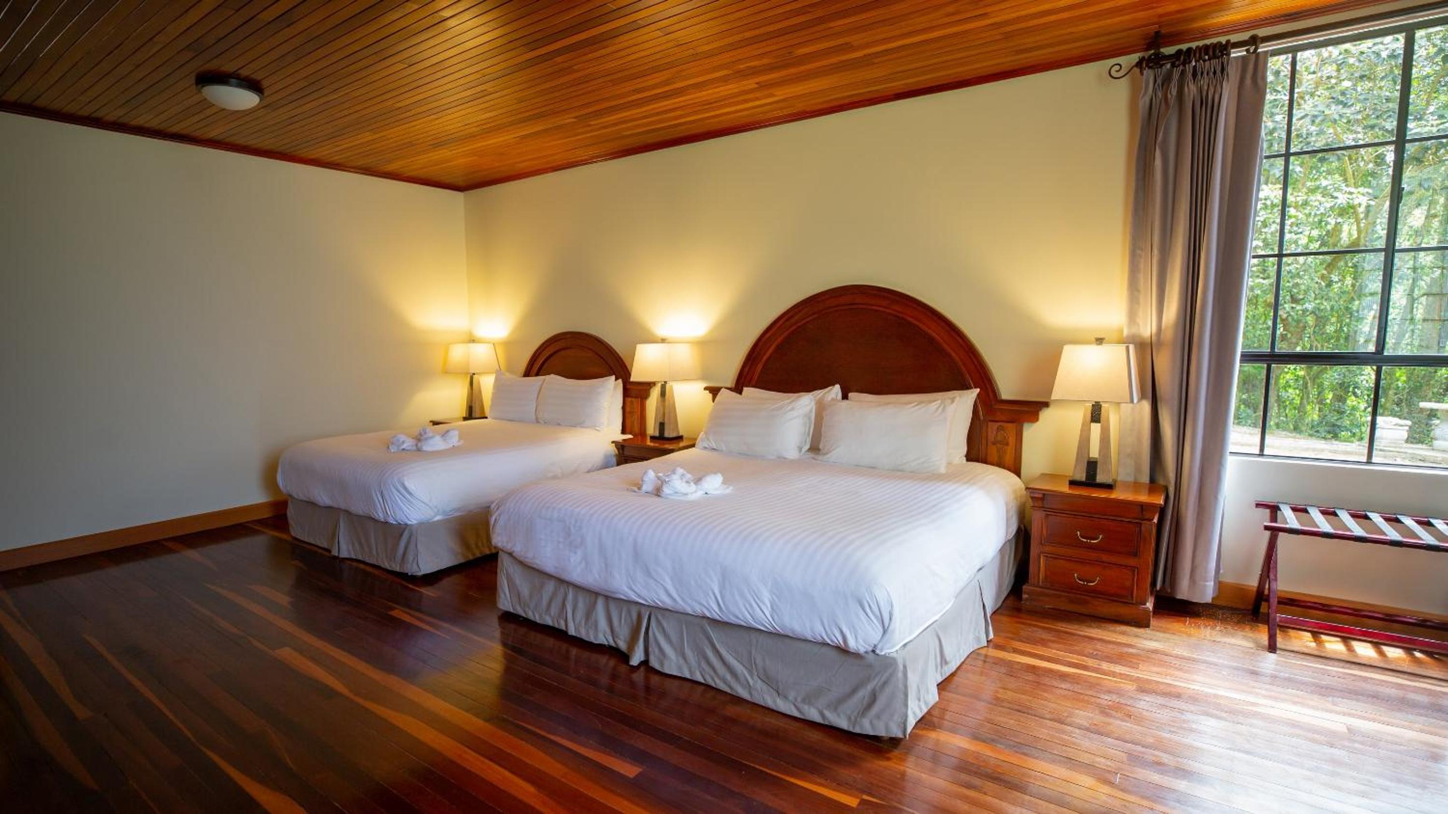 Junior Suite - Photo 1