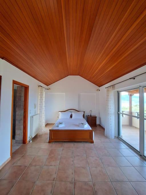 Villa photo 1