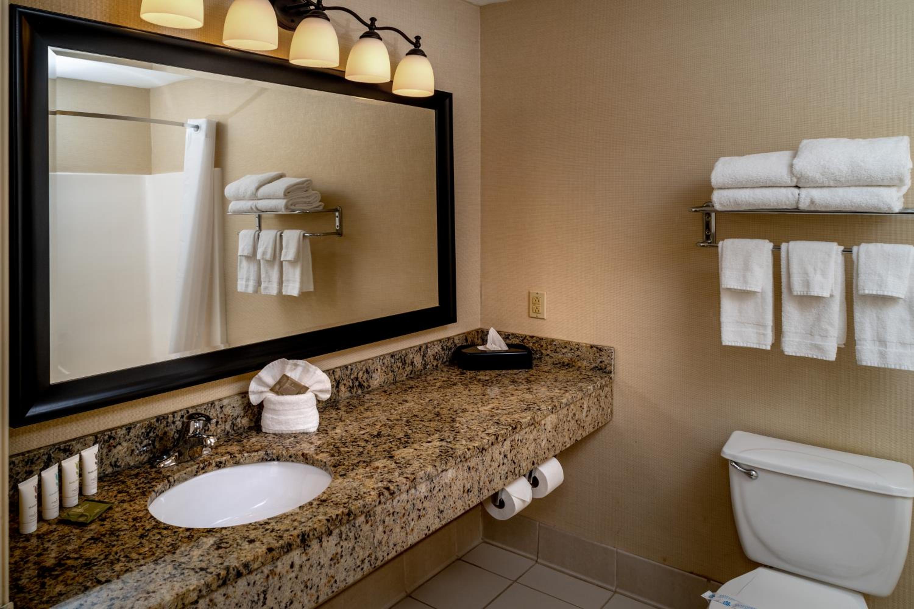 One-Bedroom King Suite - Non-Smoking - Photo 9