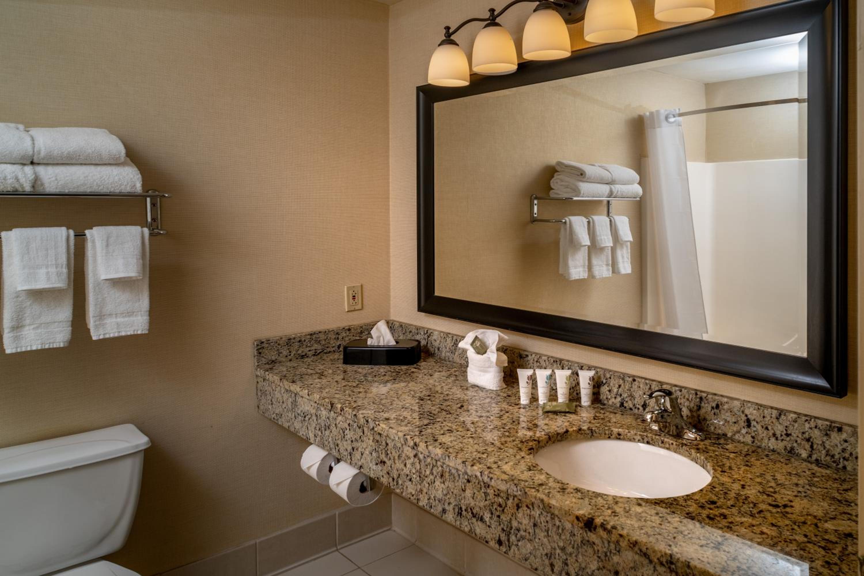 Queen Room with Two Queen Beds - Pet Friendly/Non-Smoking - Photo 4