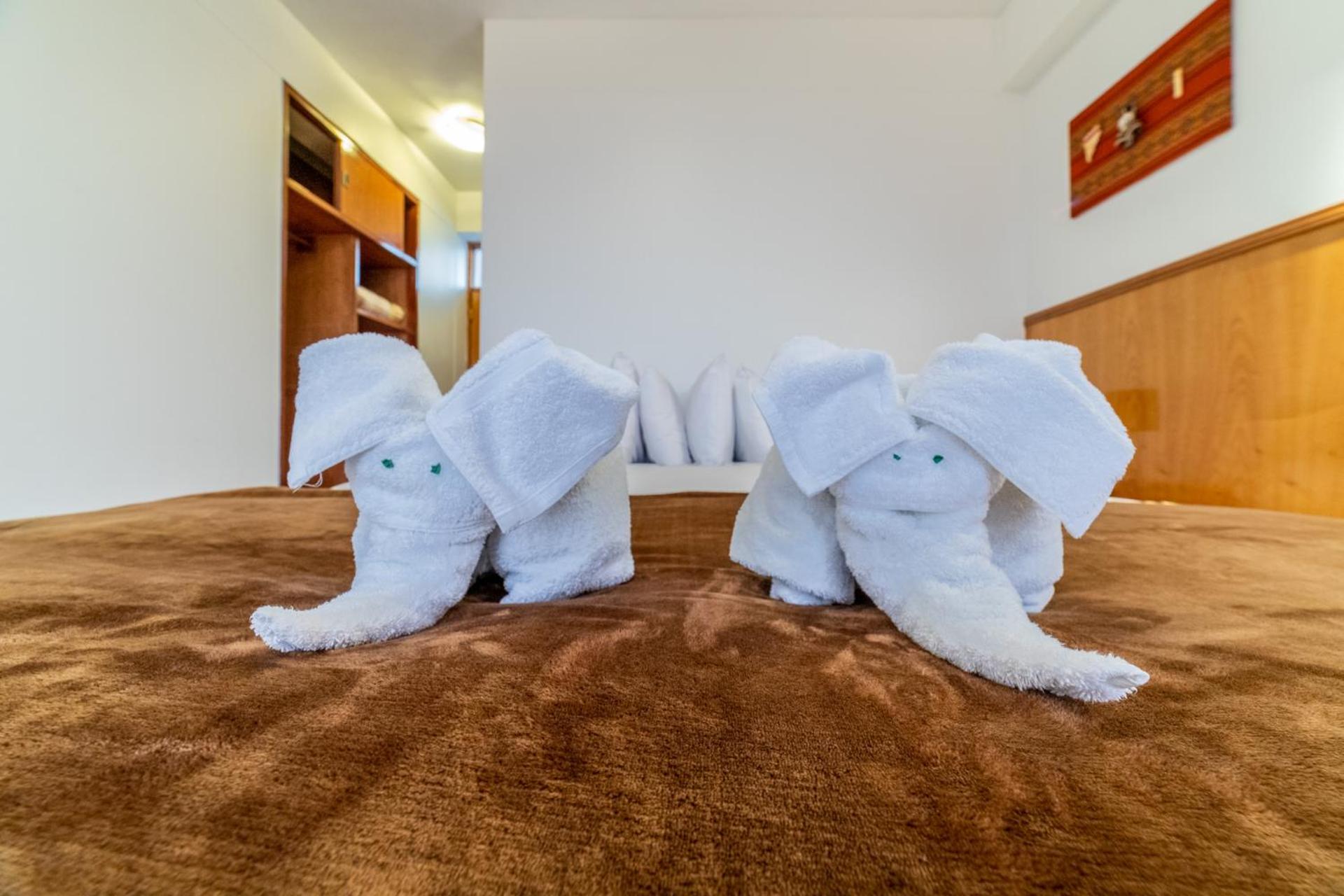 Twin Room photo 3