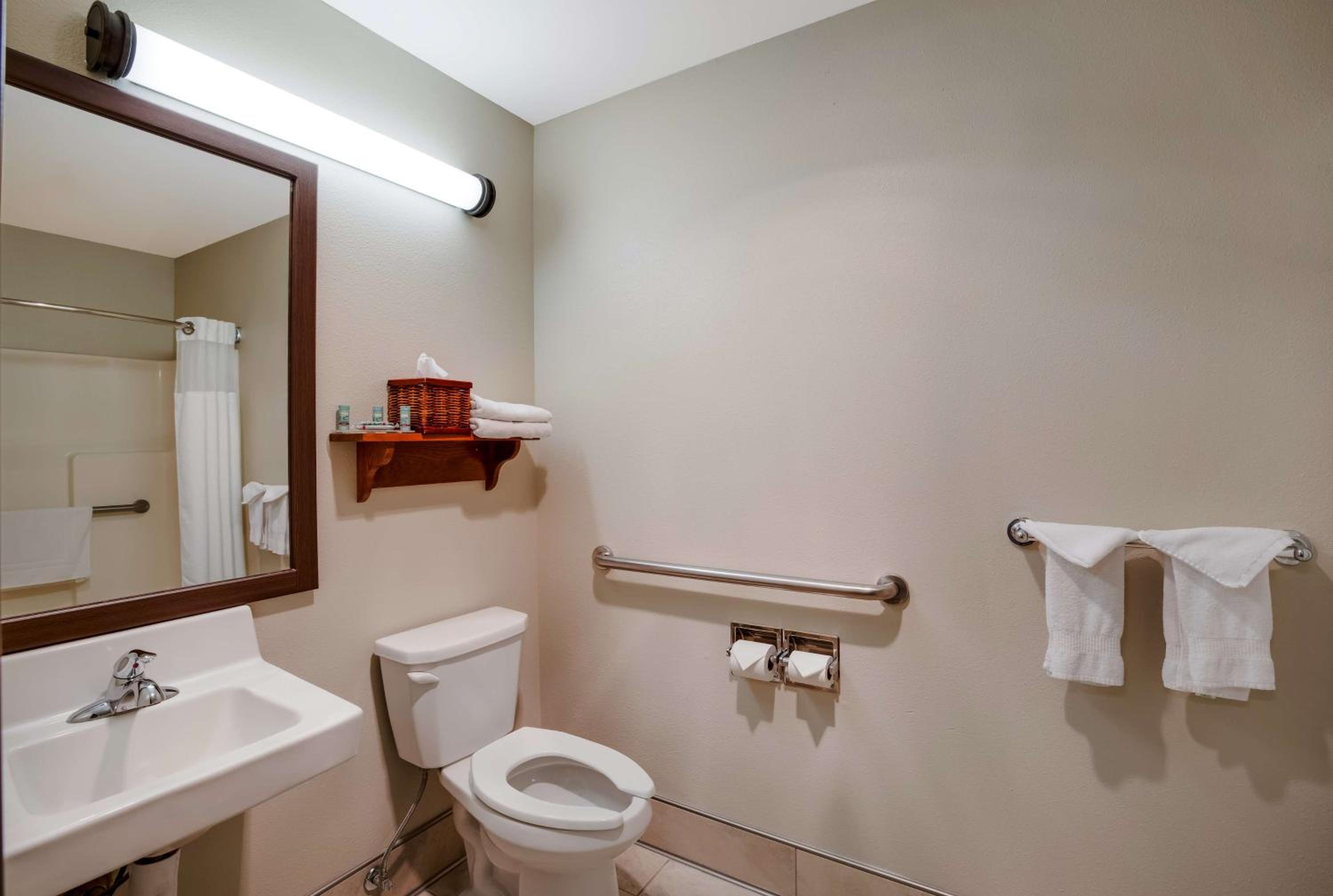 Queen Room with Walk-In Shower - Mobility Accessible/Non-Smoking - Photo 2