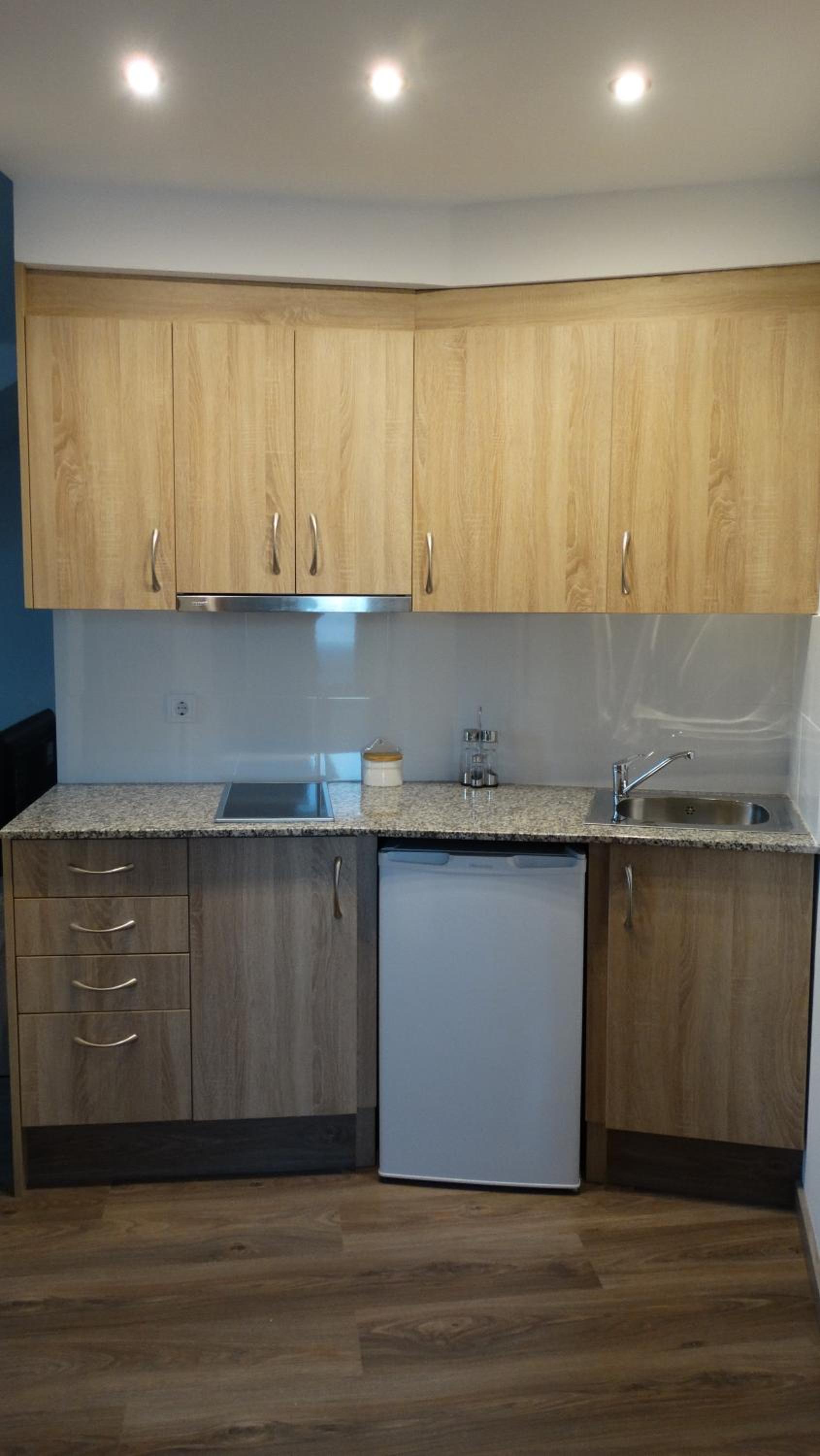 Standard One-Bedroom Apartment photo 3