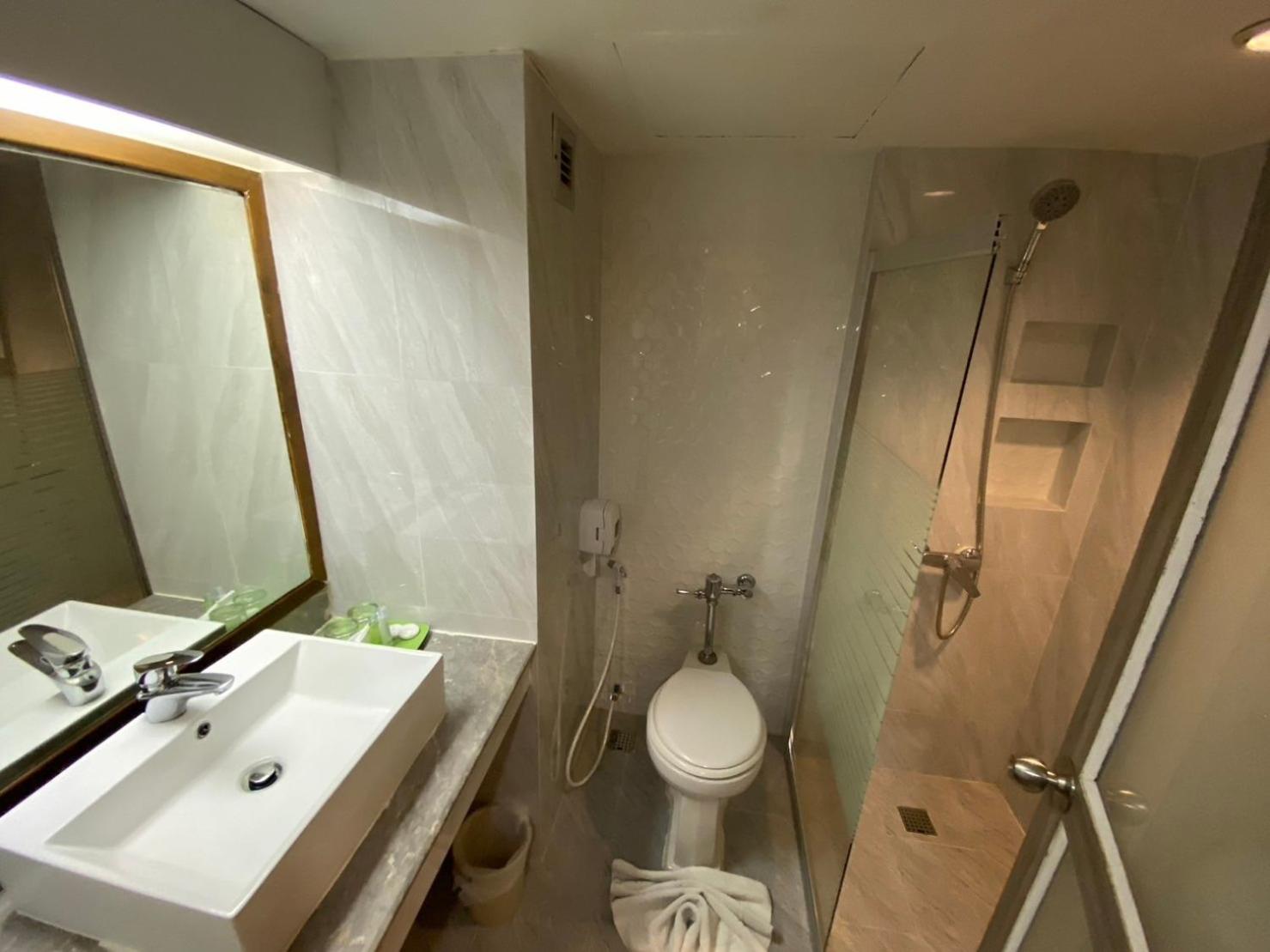 Deluxe Double Room photo 2