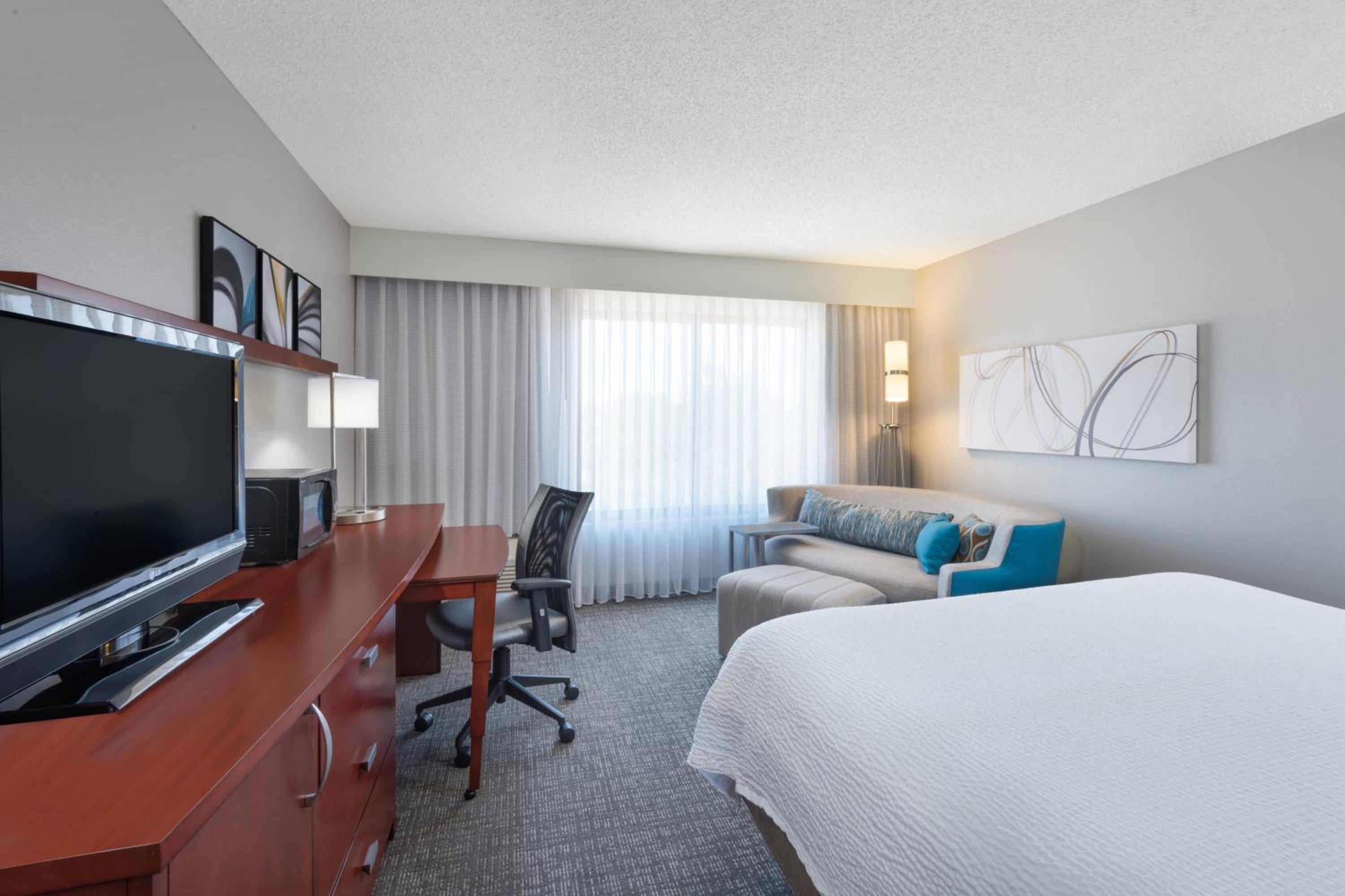 Larger Guest Room with One King Bed and Sofa Bed photo 3