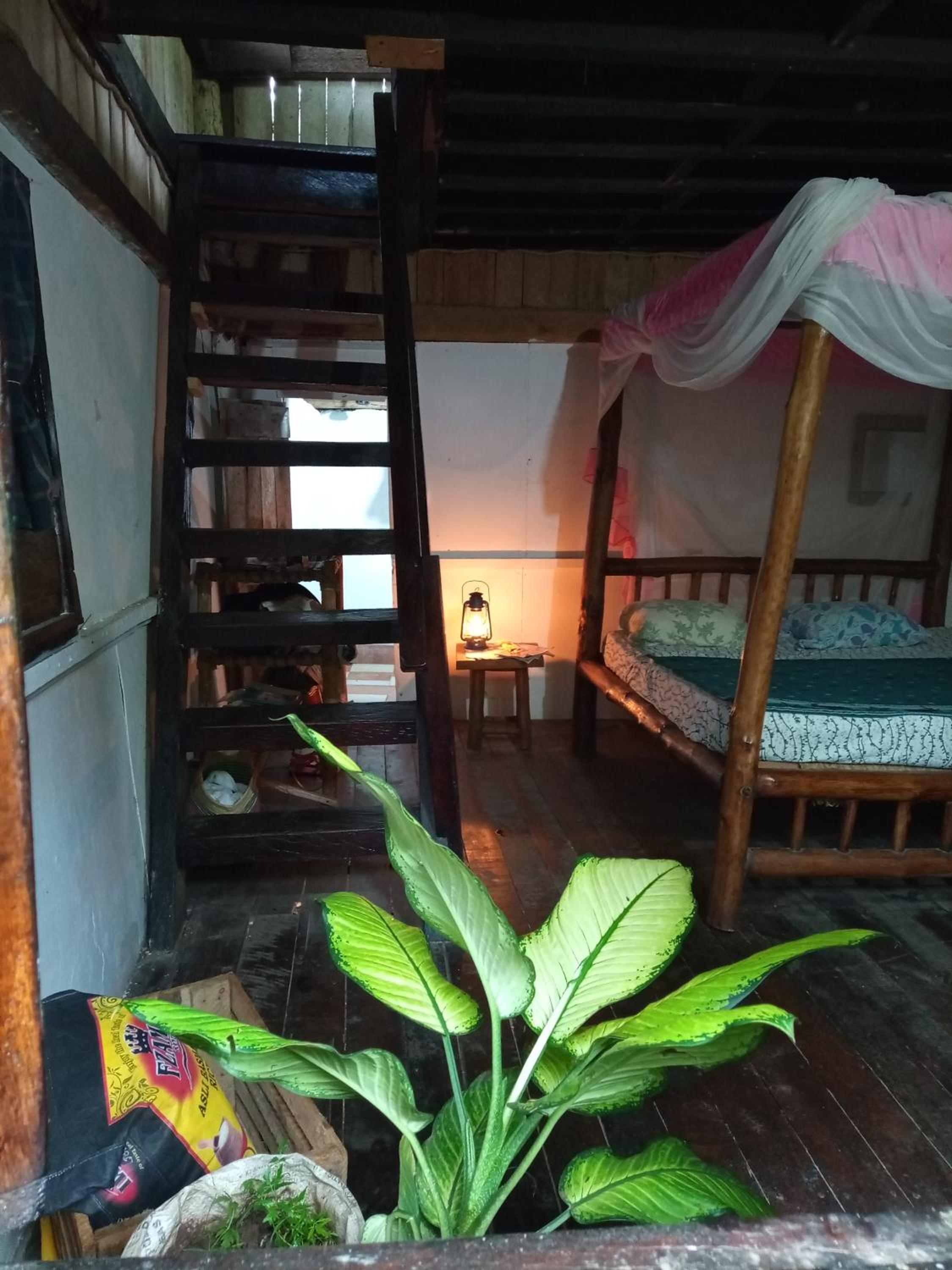 Quadruple Room photo 1