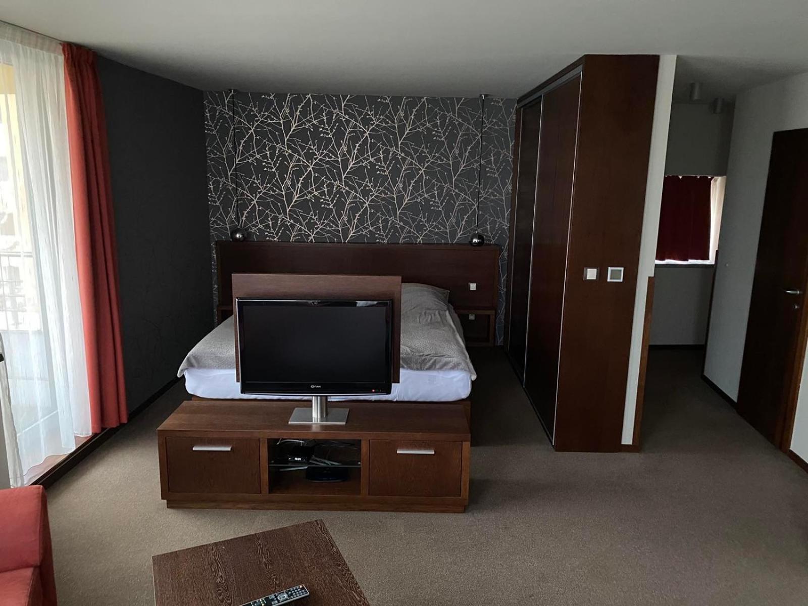 Standard Apartment photo 3