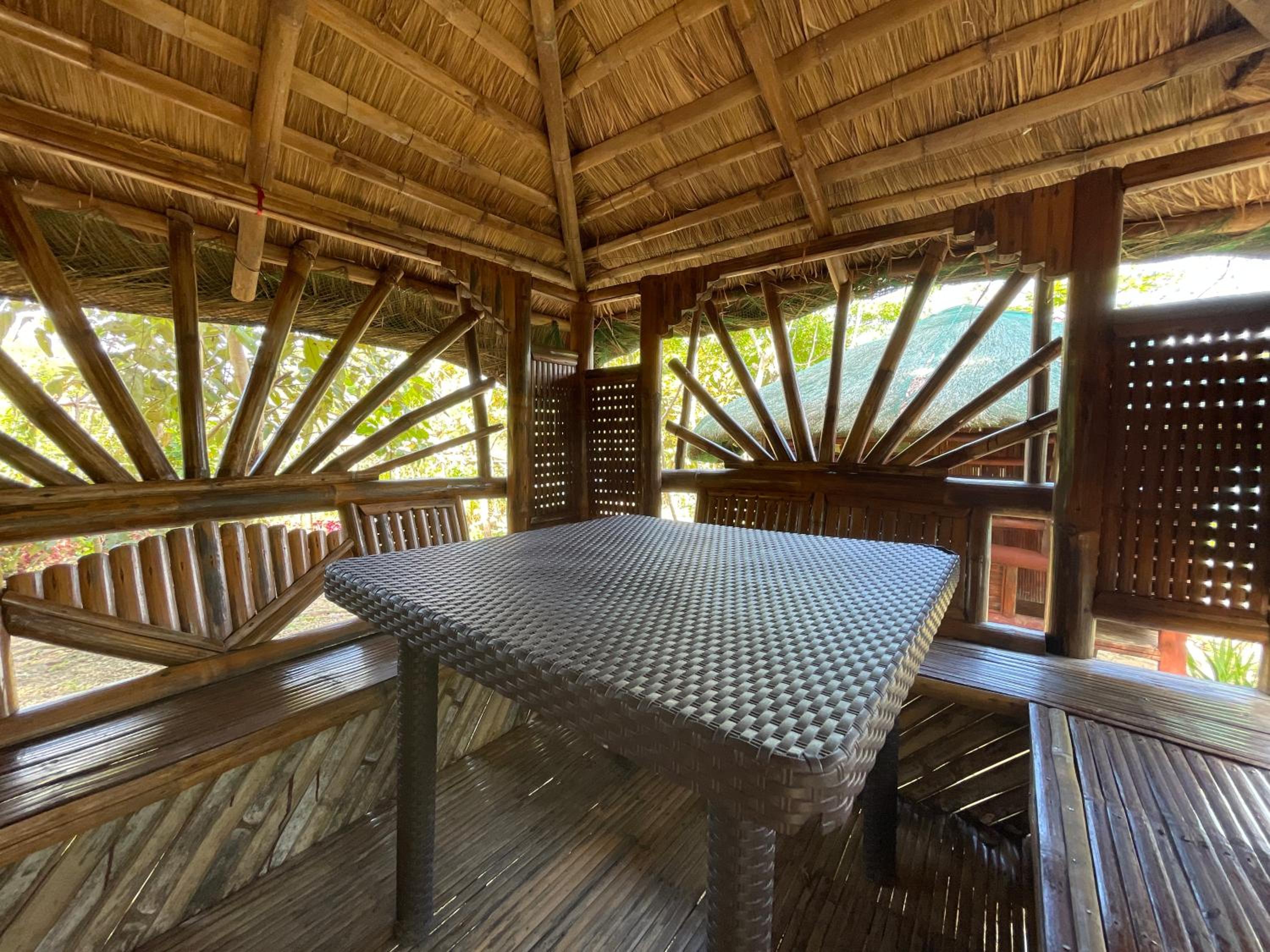 Single Room with Terrace photo 2