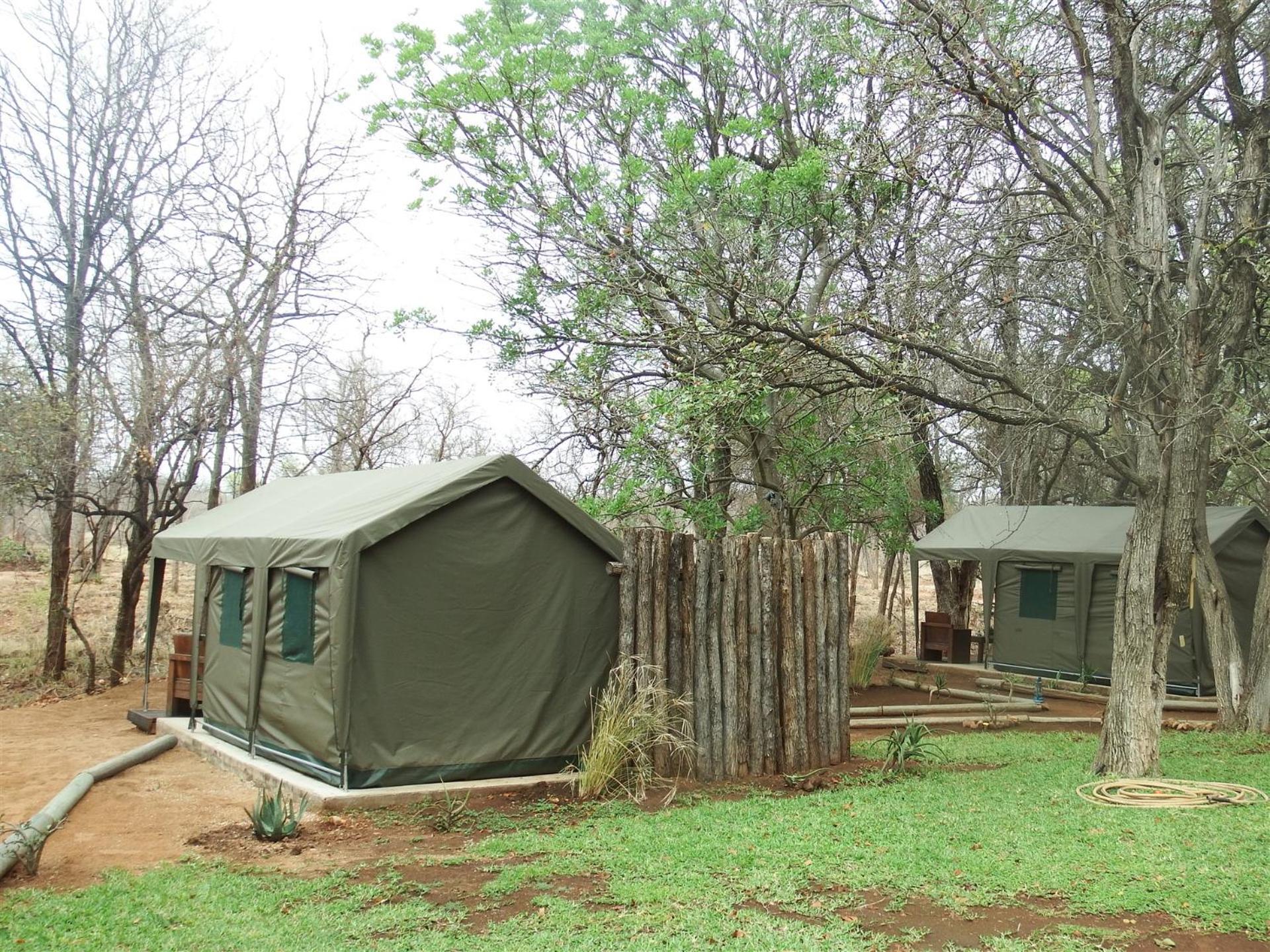 Tent photo 3
