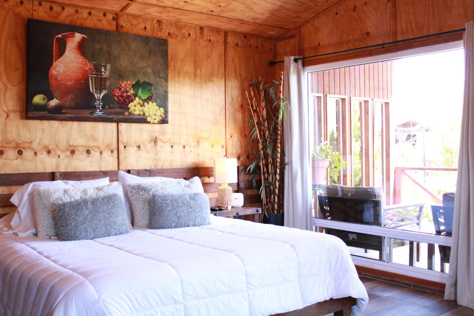 Suite - Photo 1