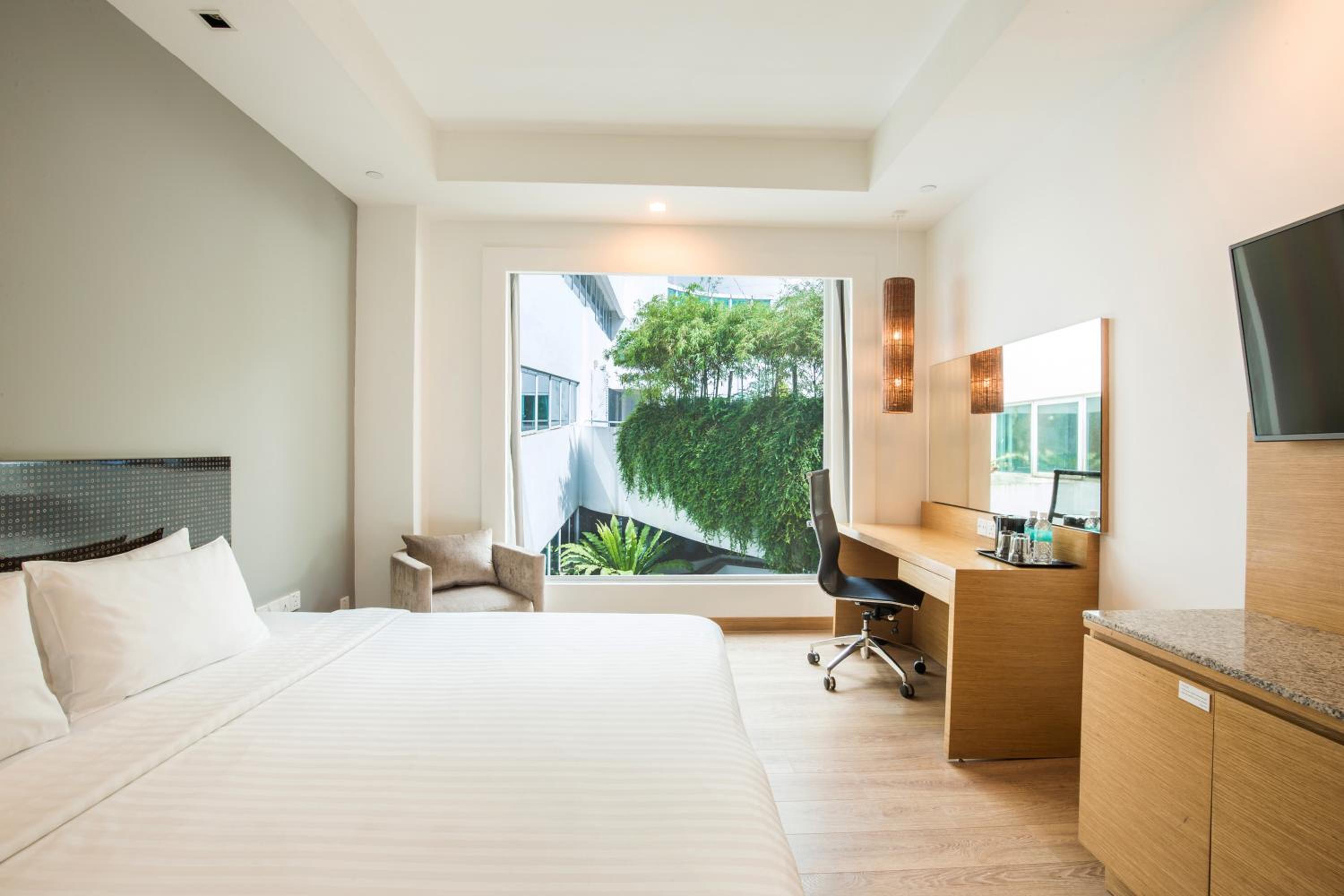 Deluxe Double or Twin Room photo 3