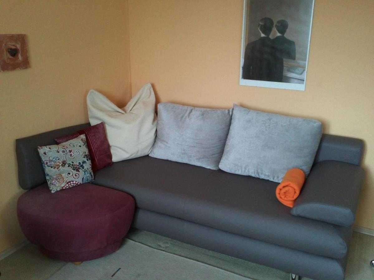One-Bedroom Apartment photo 3