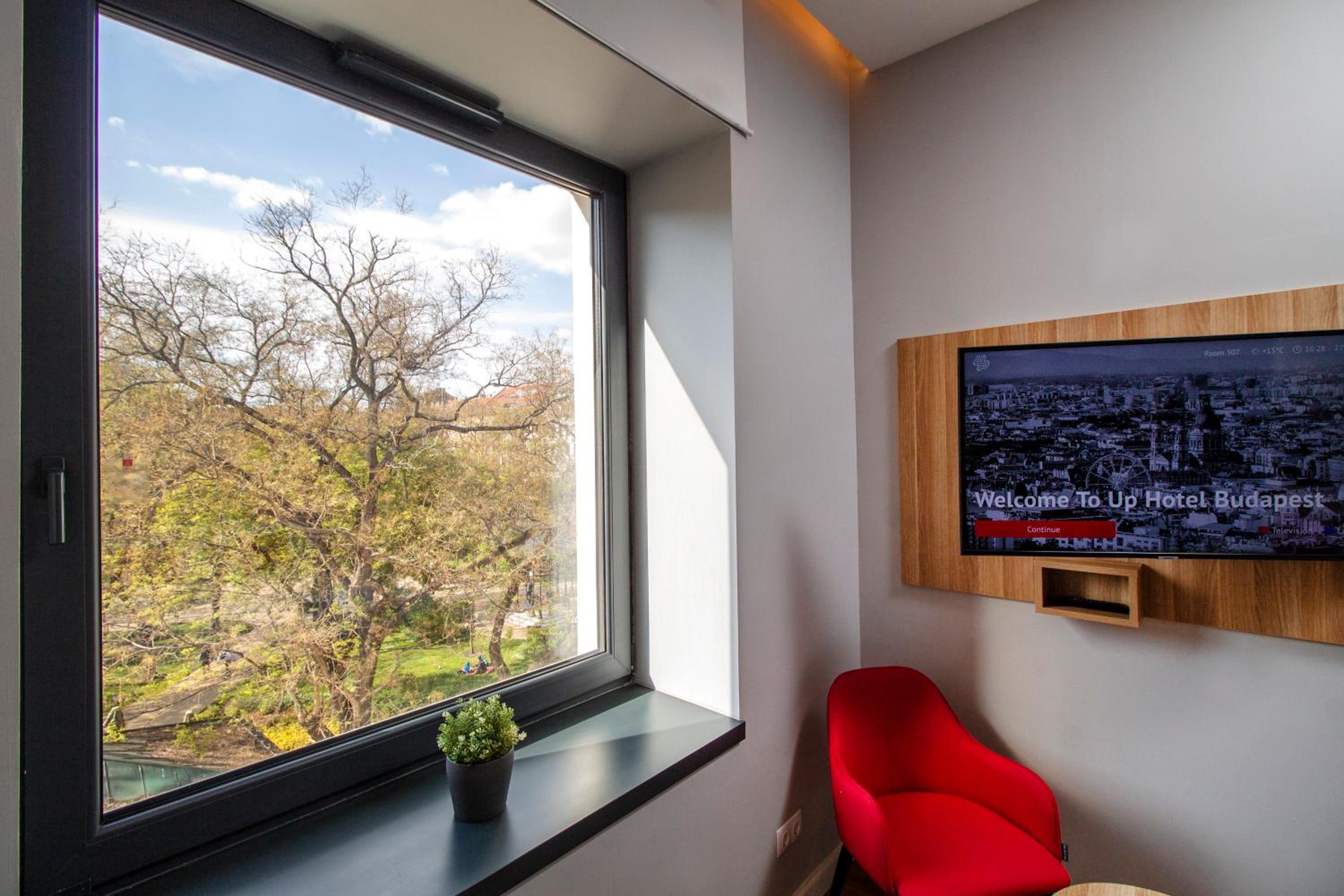 Superior Double Room - Photo 3