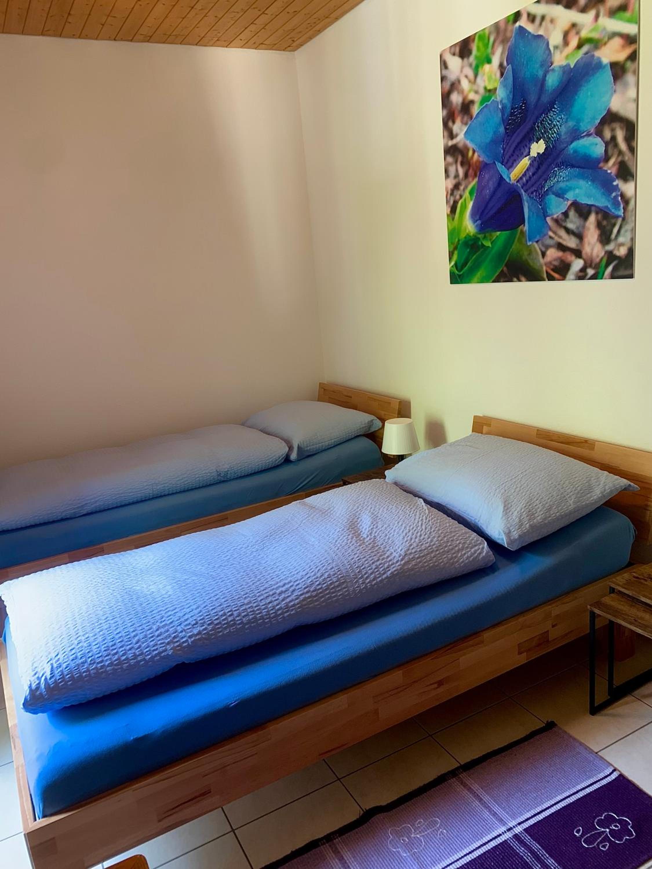 Twin Room with Private Bathroom photo 1