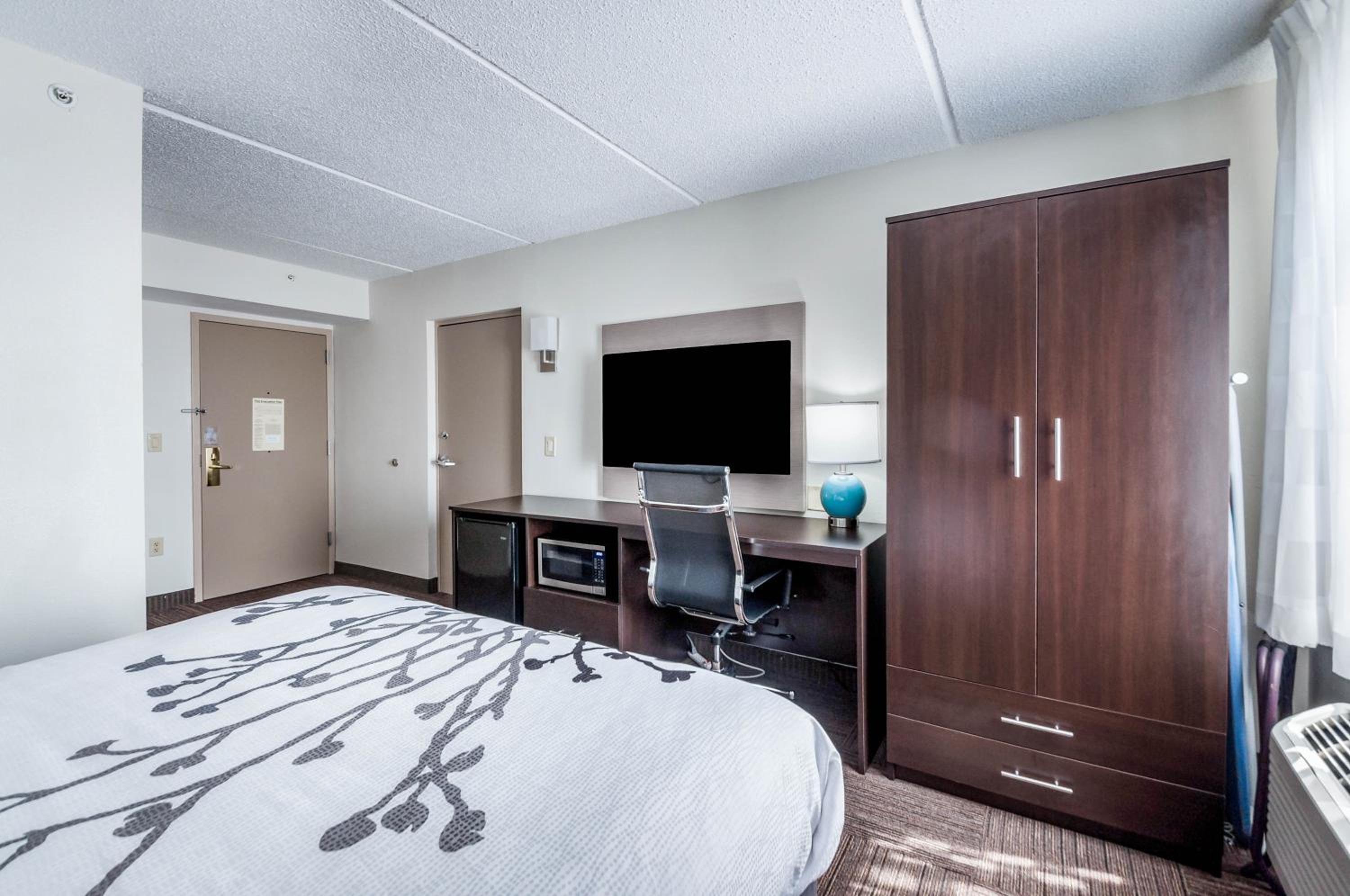 Queen Room - Disability Access - Photo 3