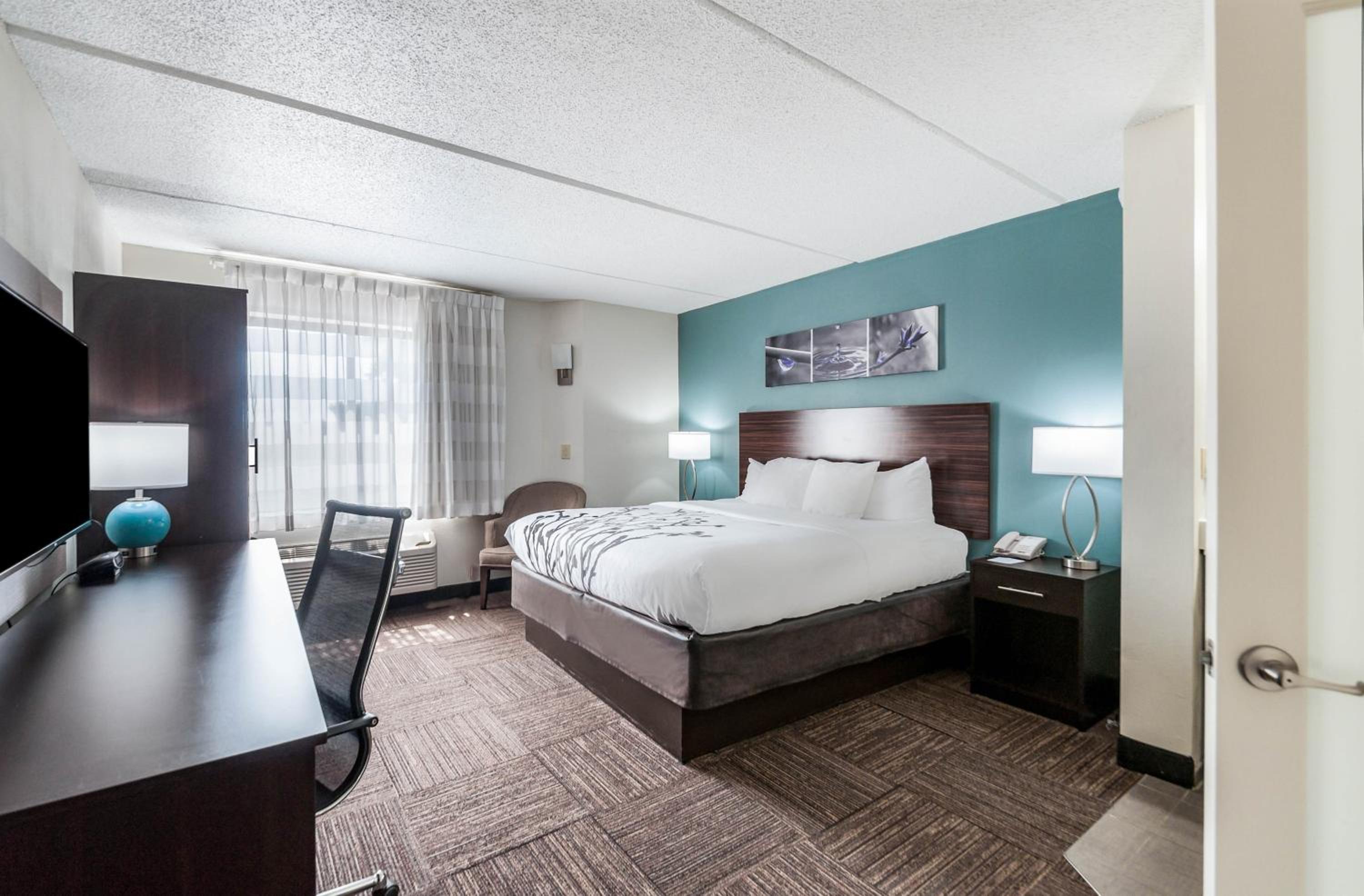 King Room - Non Smoking/Pet Friendly - Photo 3