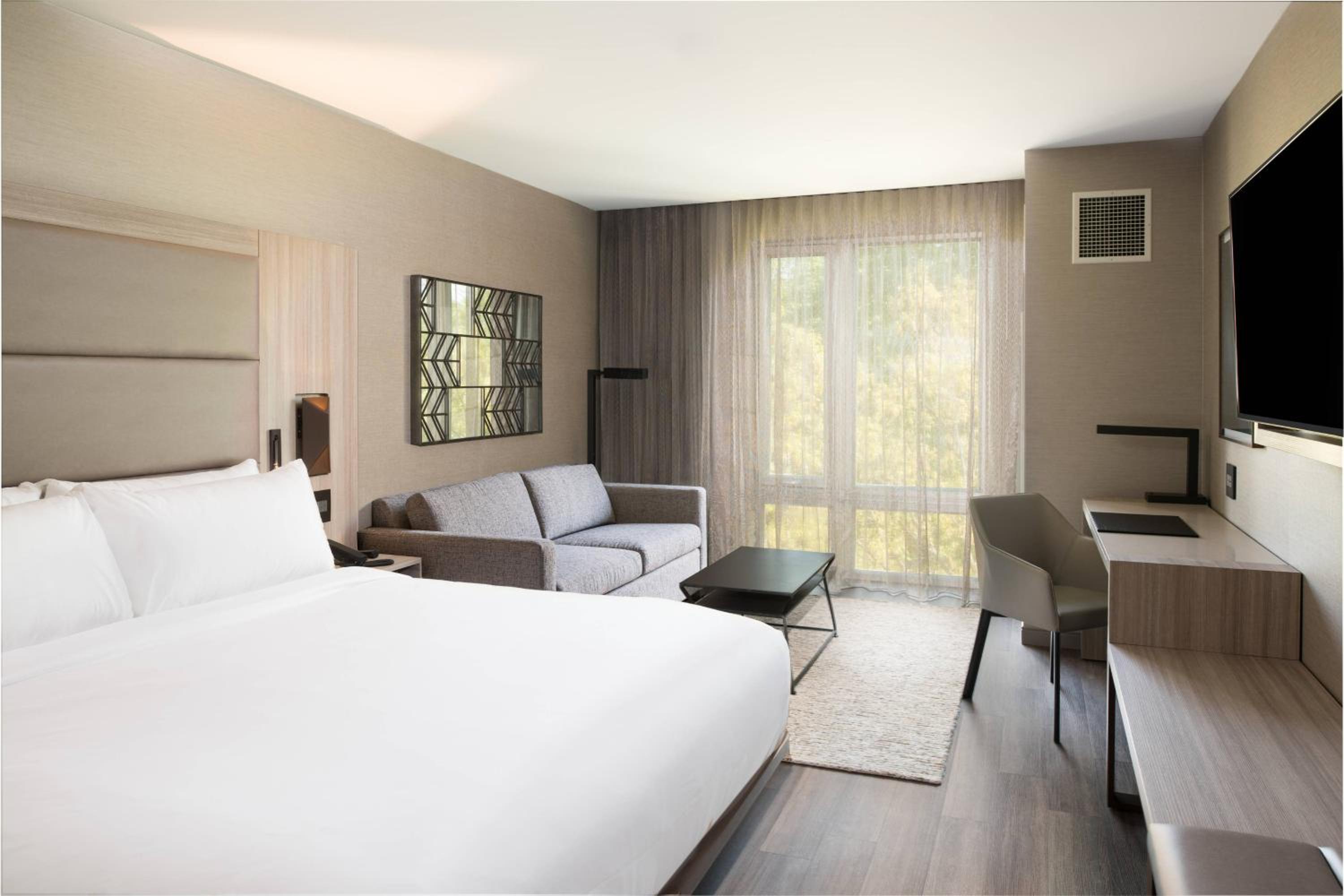 King Guest Room with Sofa Bed