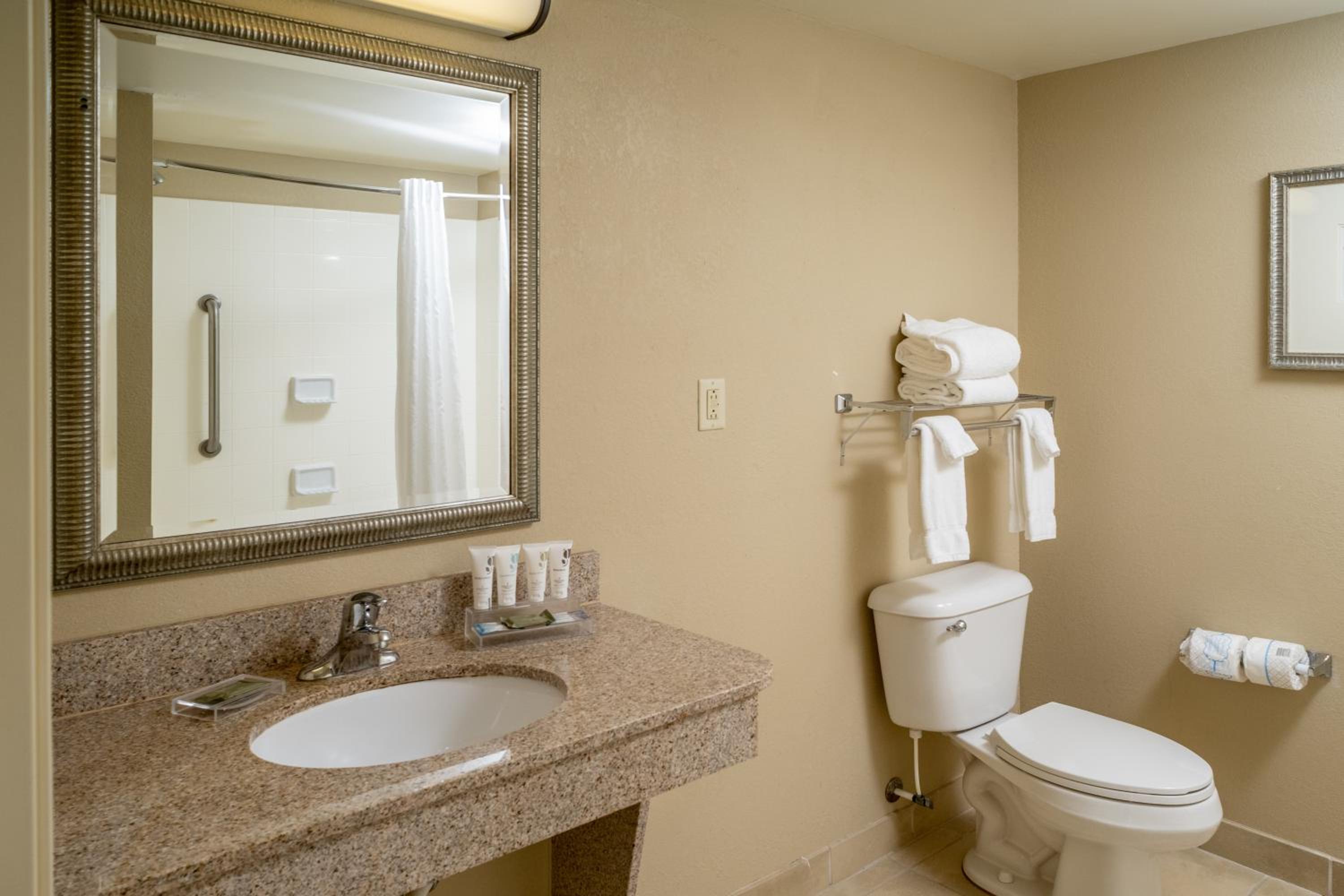 King Room with Roll-In Shower - Disability Access - Photo 3