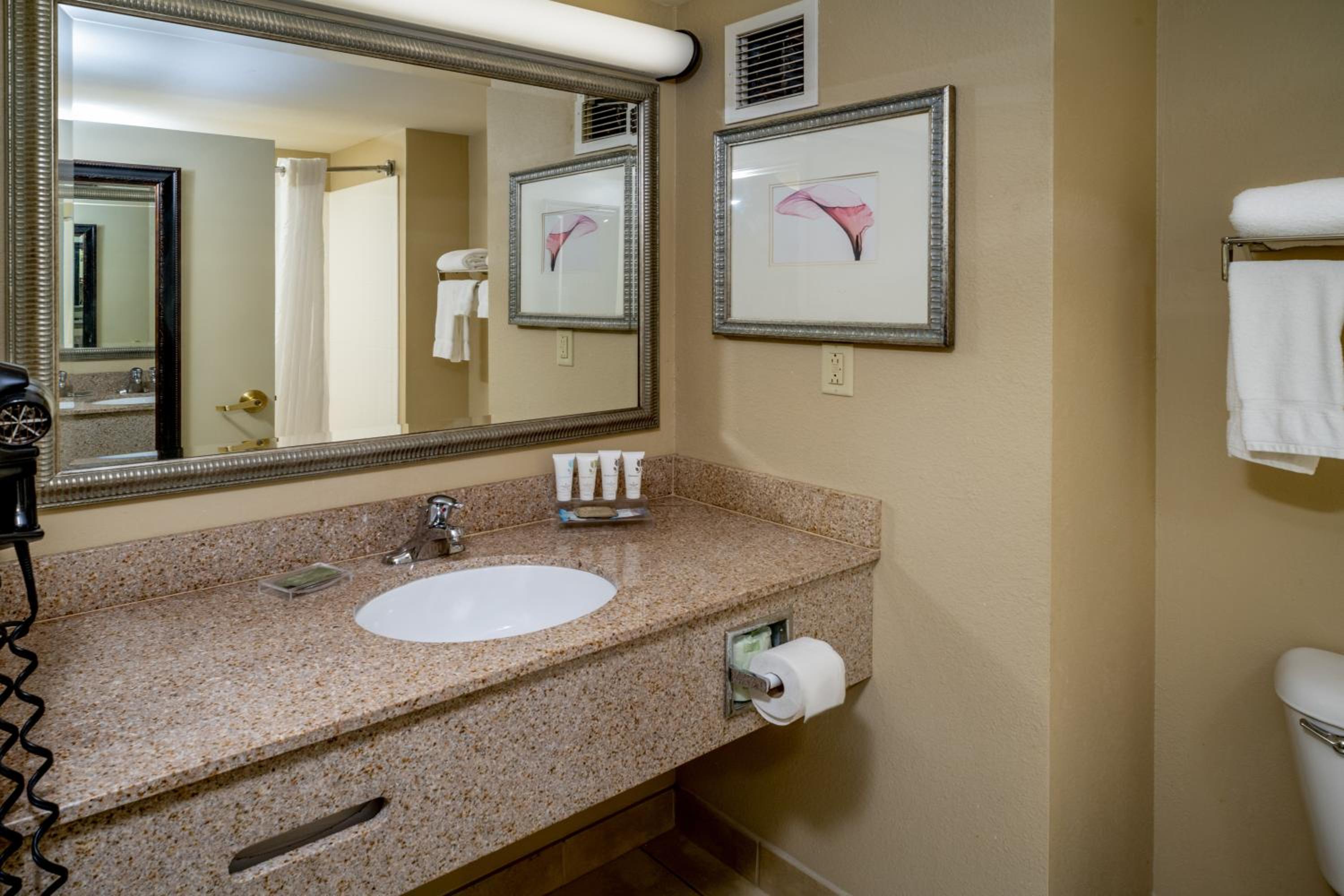 King Room - Non-Smoking - Photo 9
