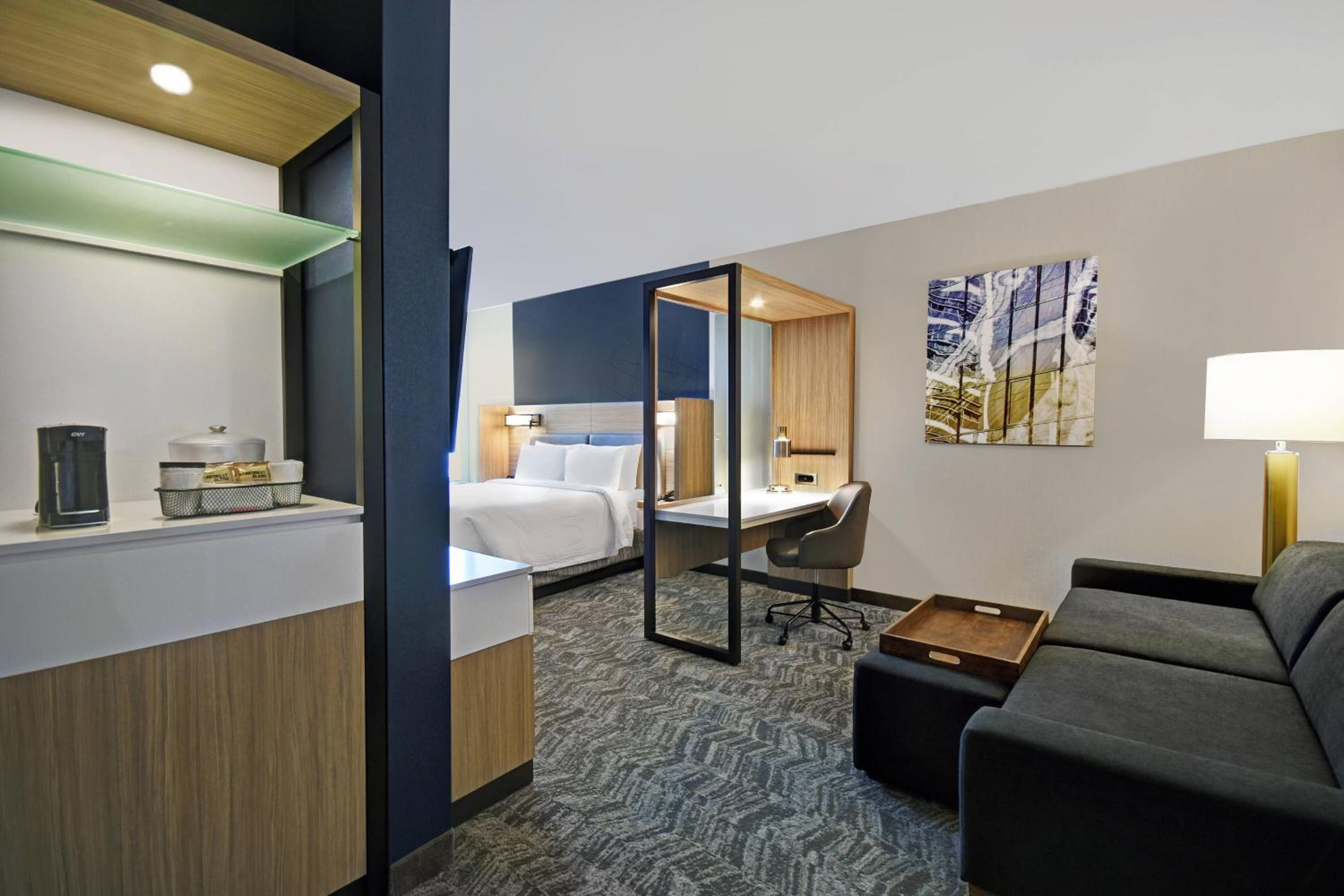 Larger Suite, 1 King, Sofa bed - Photo 7