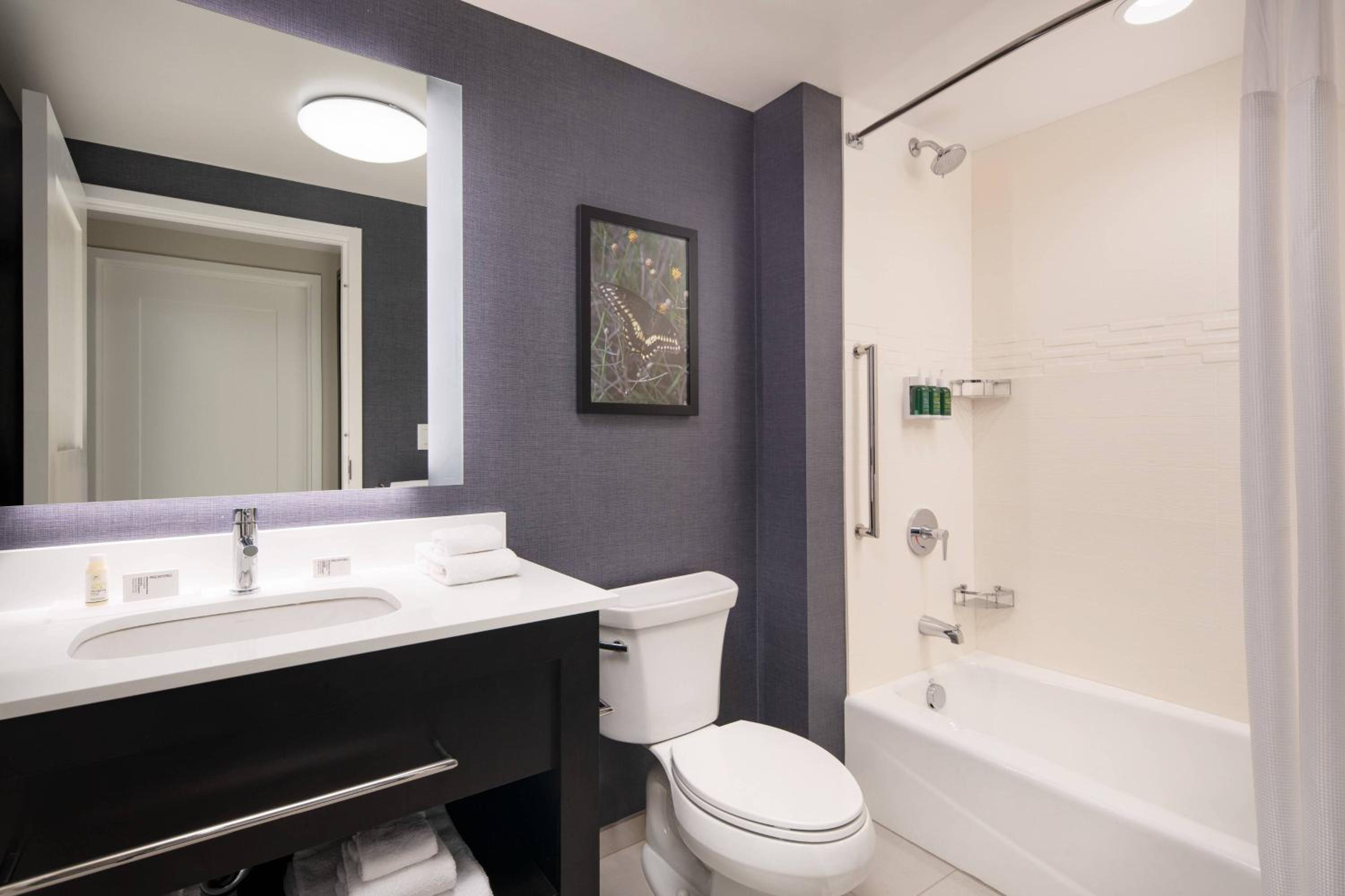 Two-Bedroom Suite - Photo 9