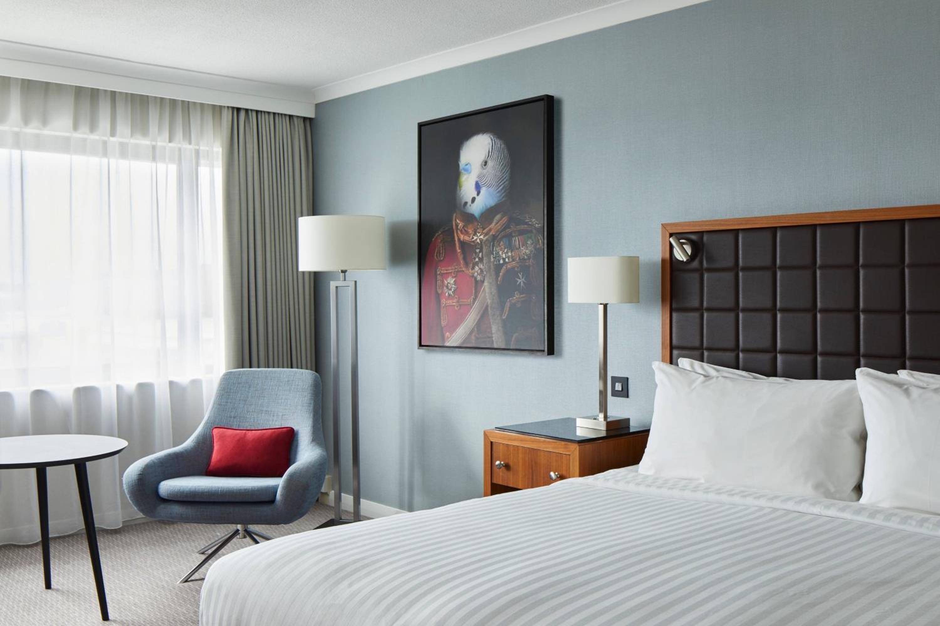 Deluxe King Room - Photo 1