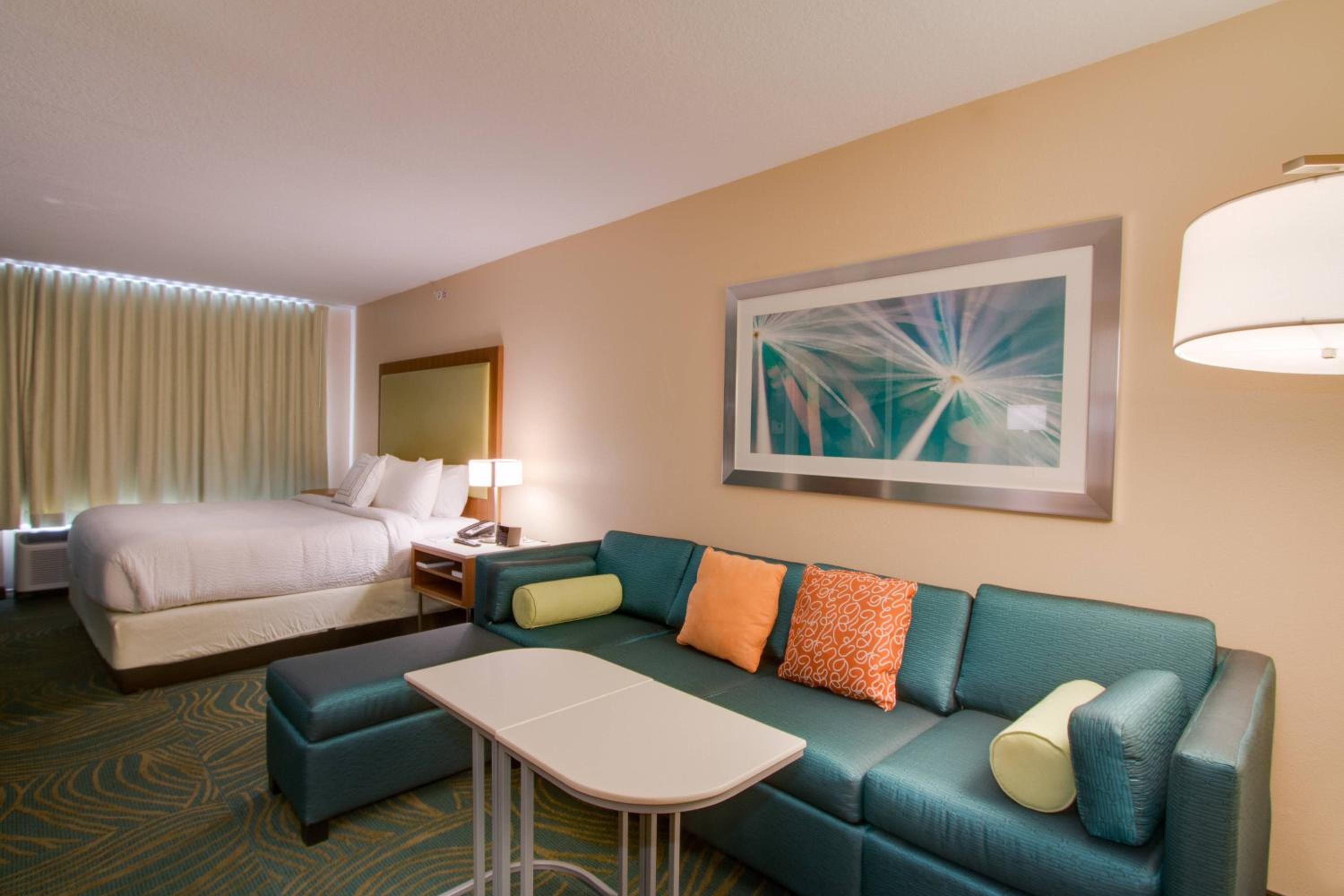 King Suite with Sofa Bed - Photo 8